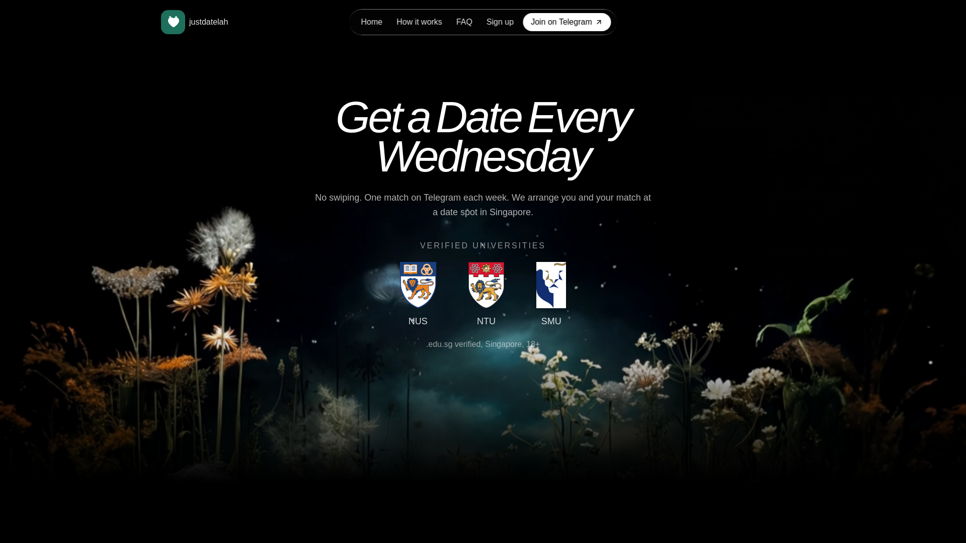 website screenshot of https://justdatelah.com