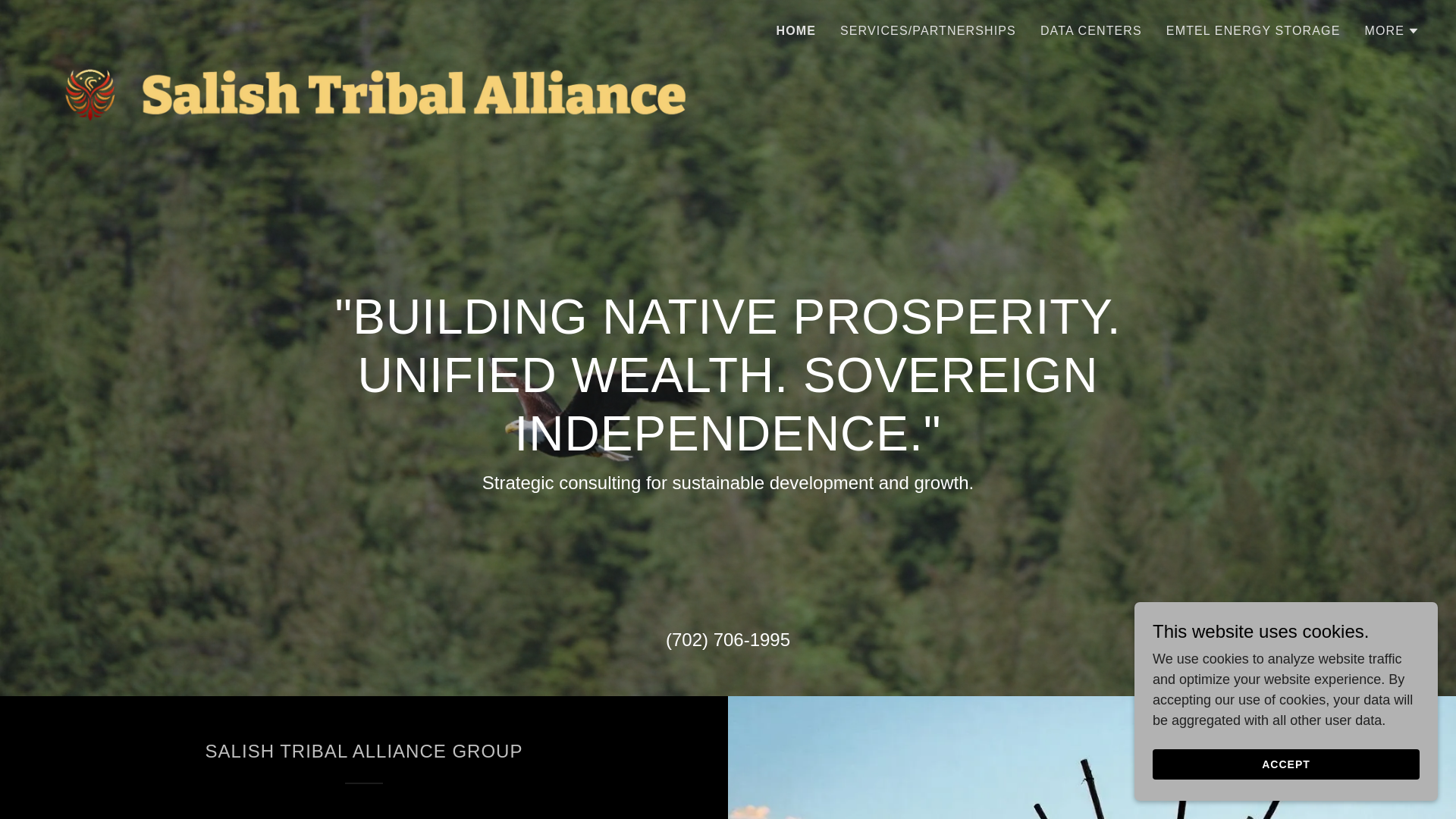 website screenshot of https://salishtribalalliance.com/