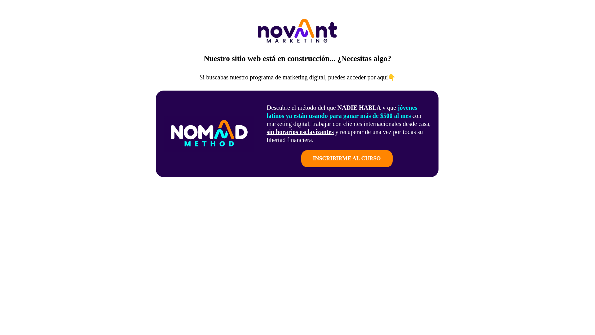 website screenshot of https://novantmarketing.com