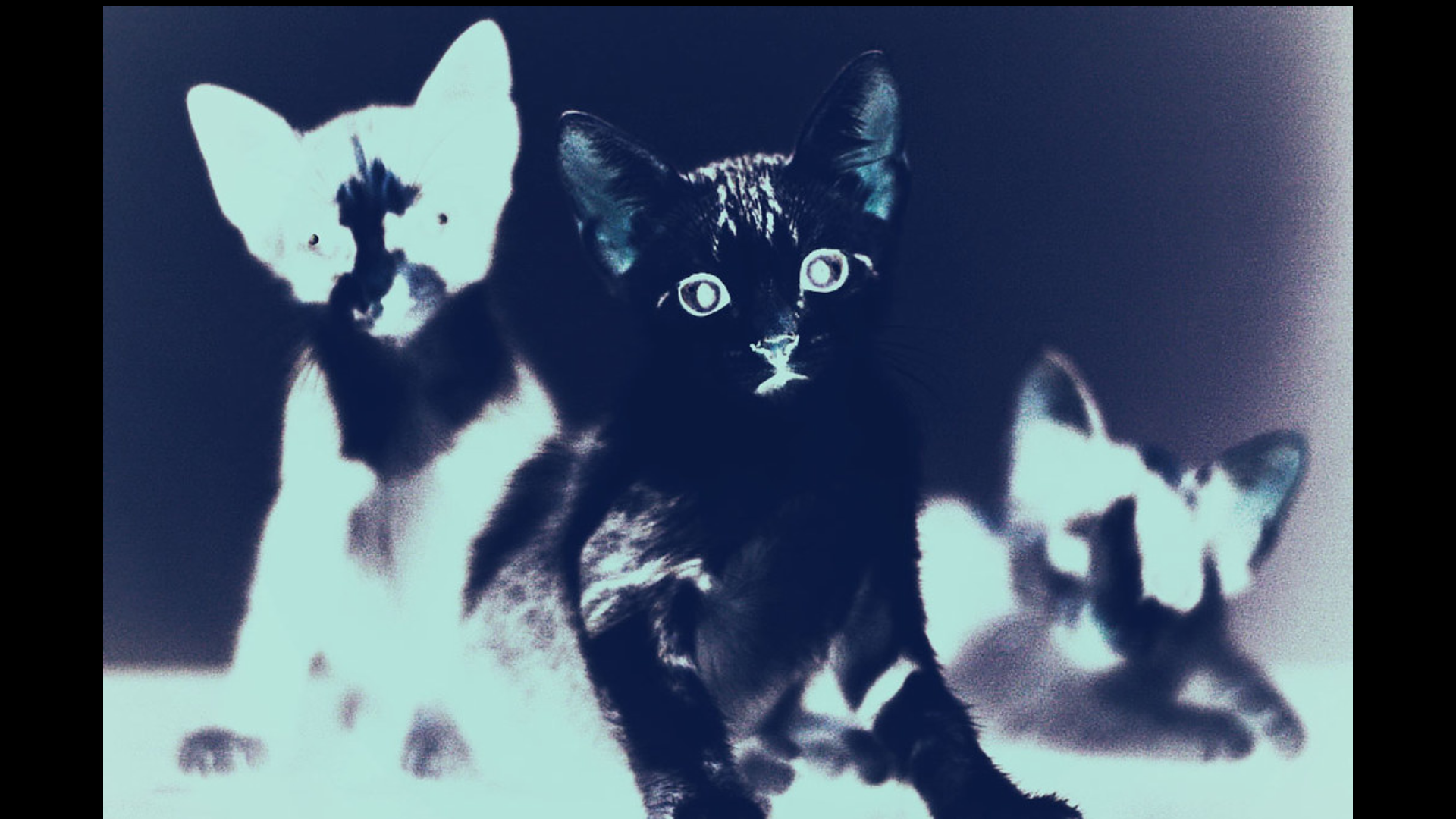 website screenshot of https://eeveeslair.com/