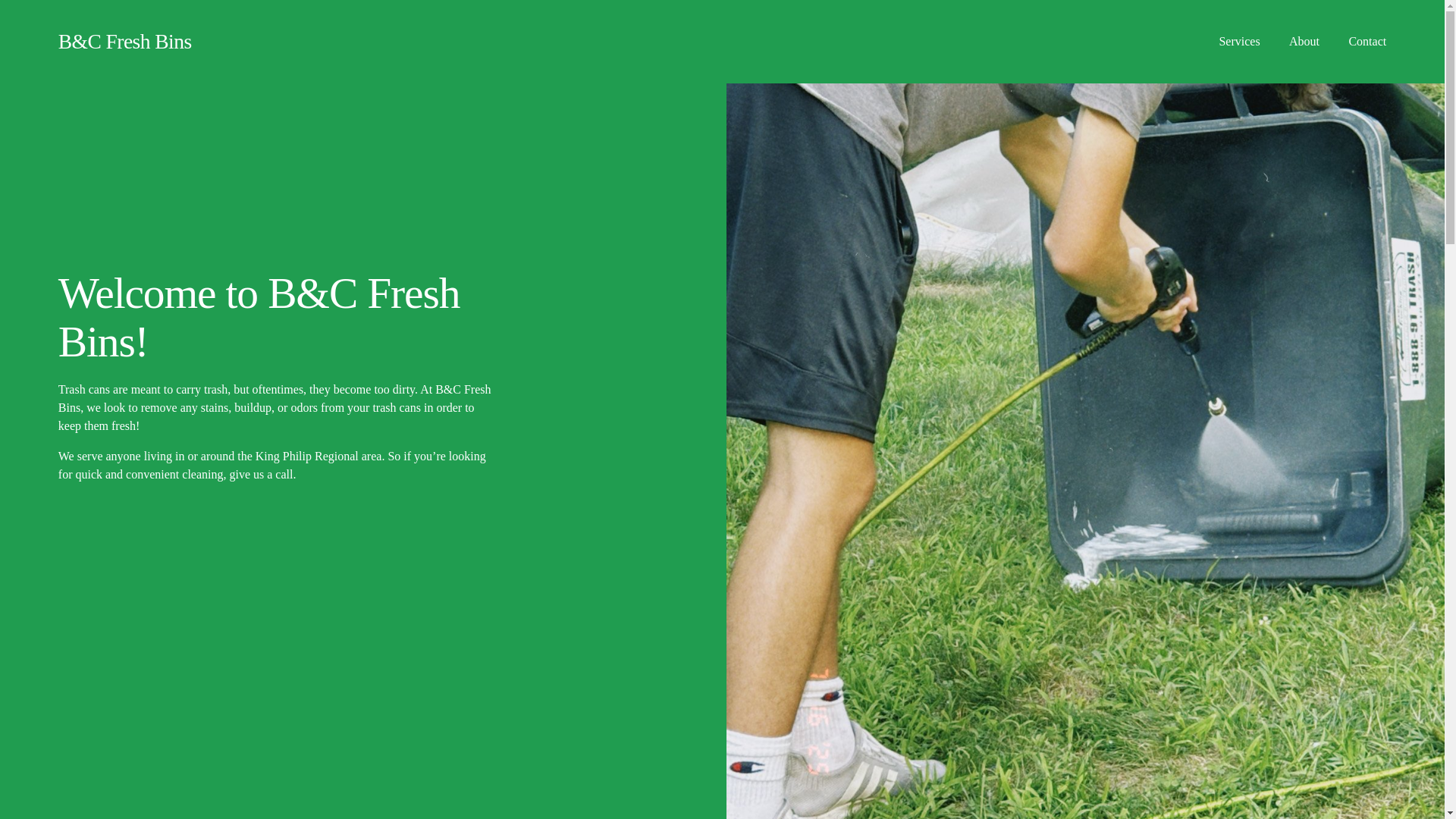 website screenshot of https://bcfreshbins.com/