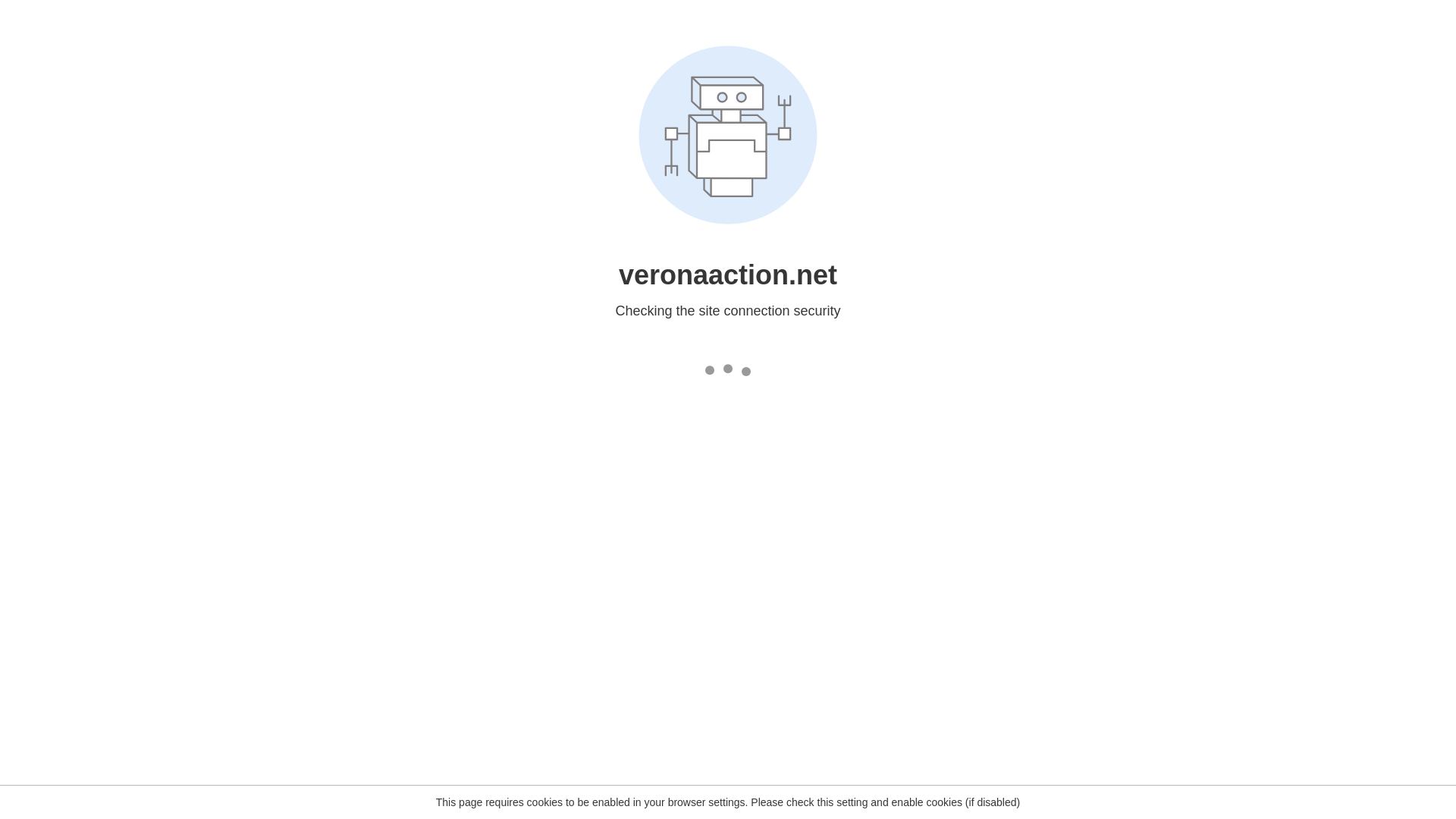 website screenshot of https://veronaaction.net/