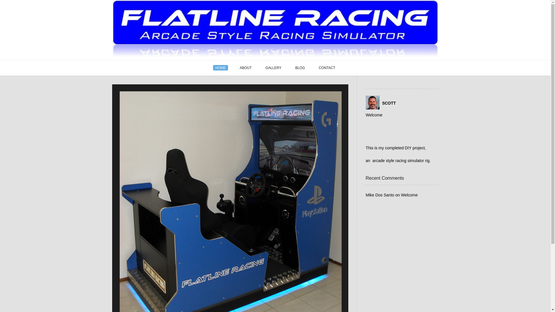 website screenshot of https://flatlineracing.online/