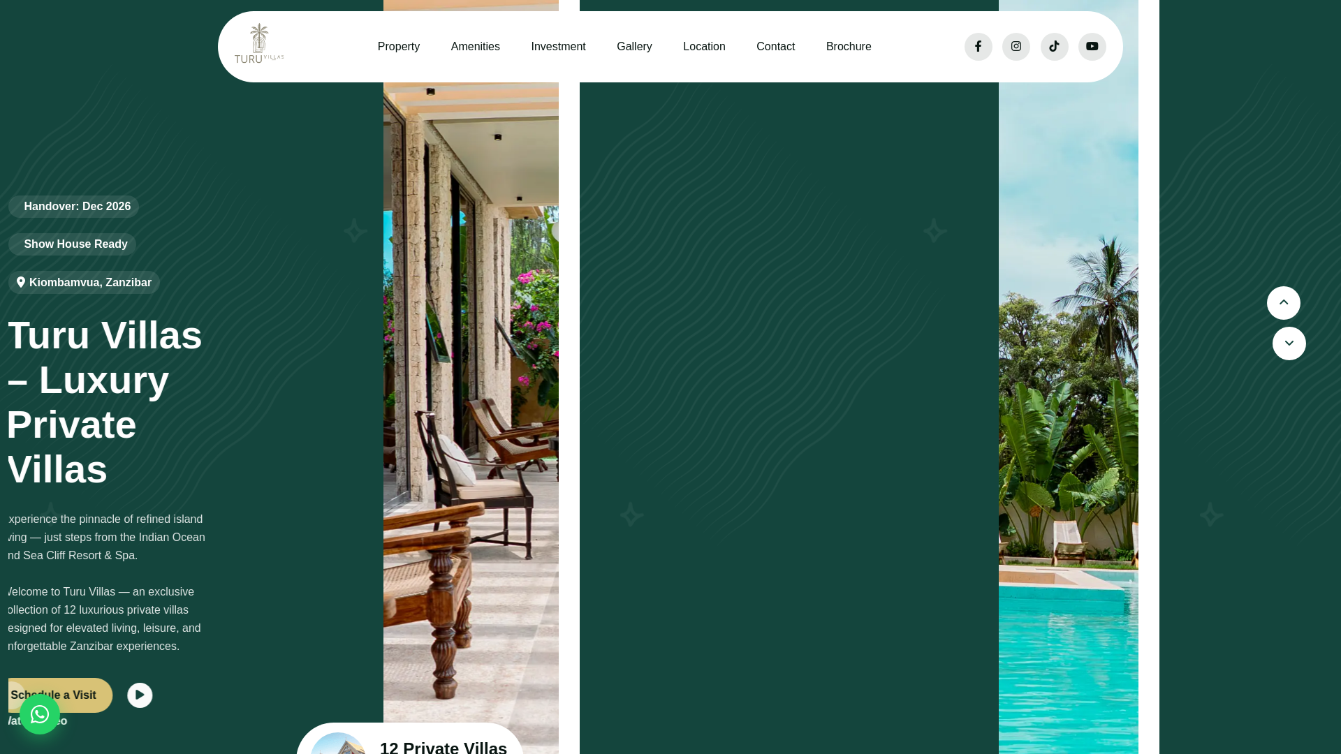 website screenshot of https://turucollection.pages.dev/