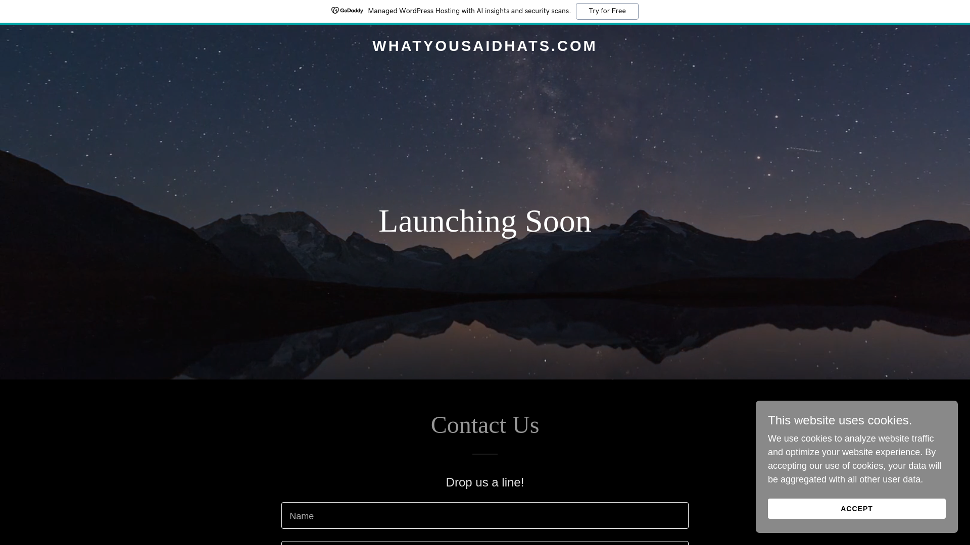 website screenshot of https://whatyousaidhats.com