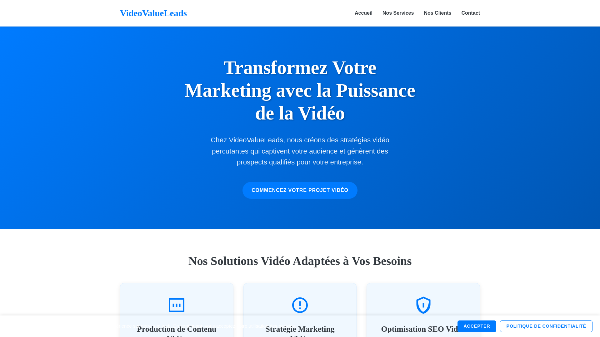 website screenshot of https://videovalueleads.click/