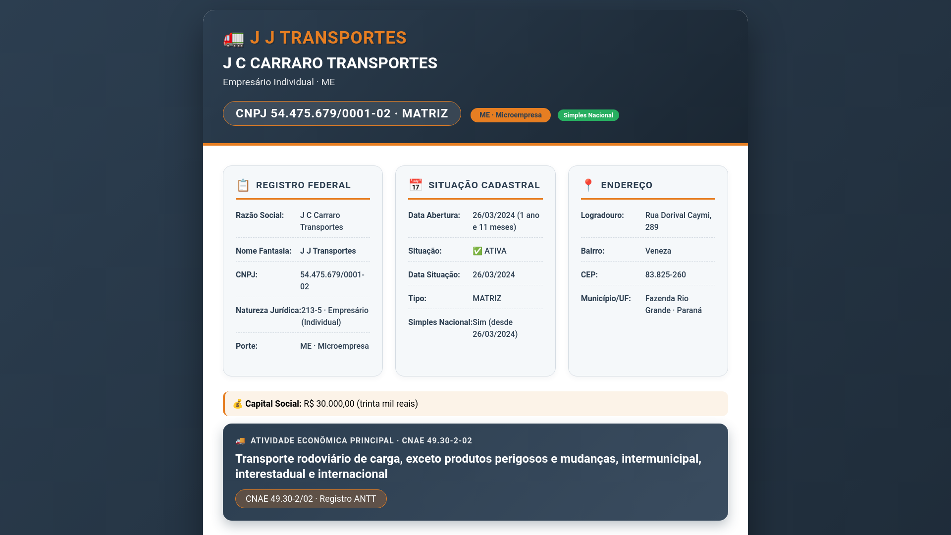 website screenshot of https://carrarotransporte.online/