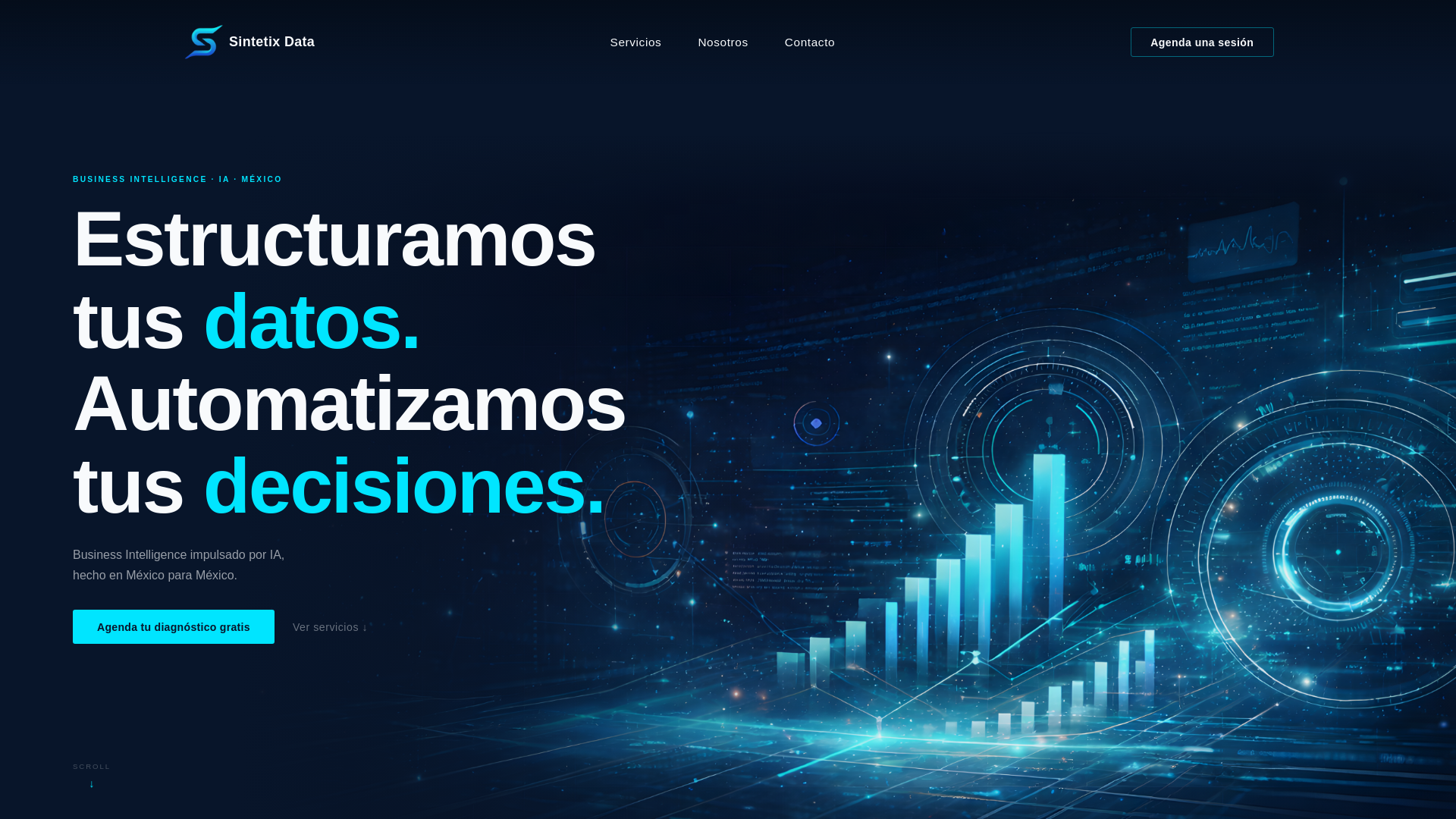 website screenshot of https://sintetixdata.com/