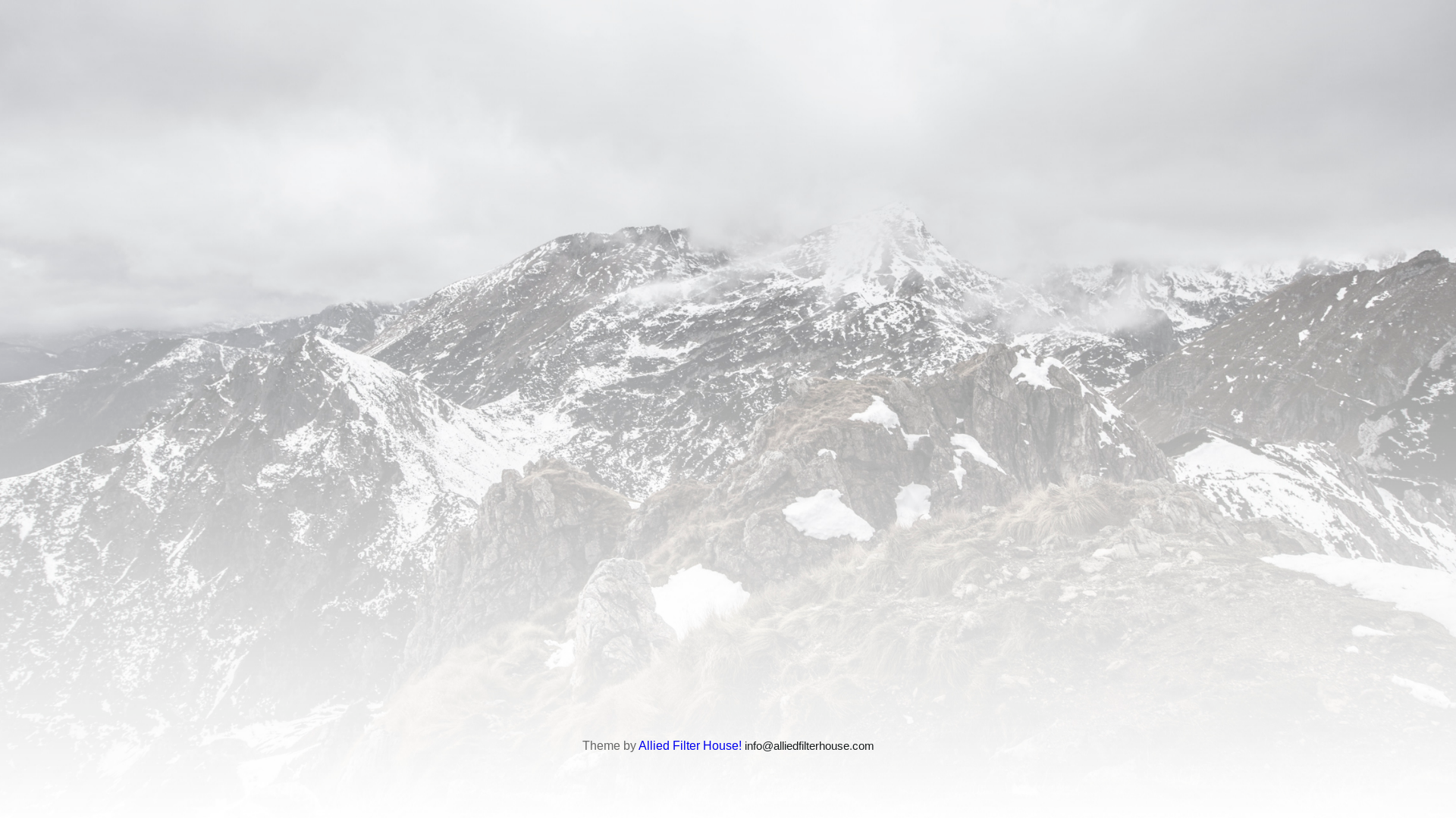 website screenshot of https://alliedfilterhouse.store/