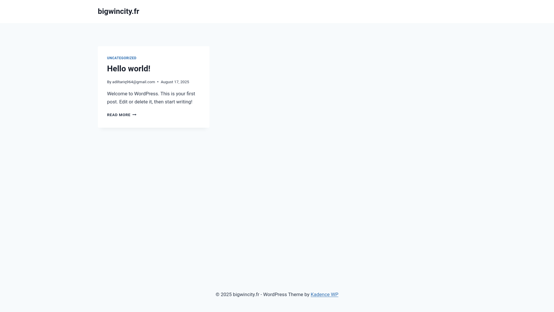 website screenshot of https://bigwincity.fr/