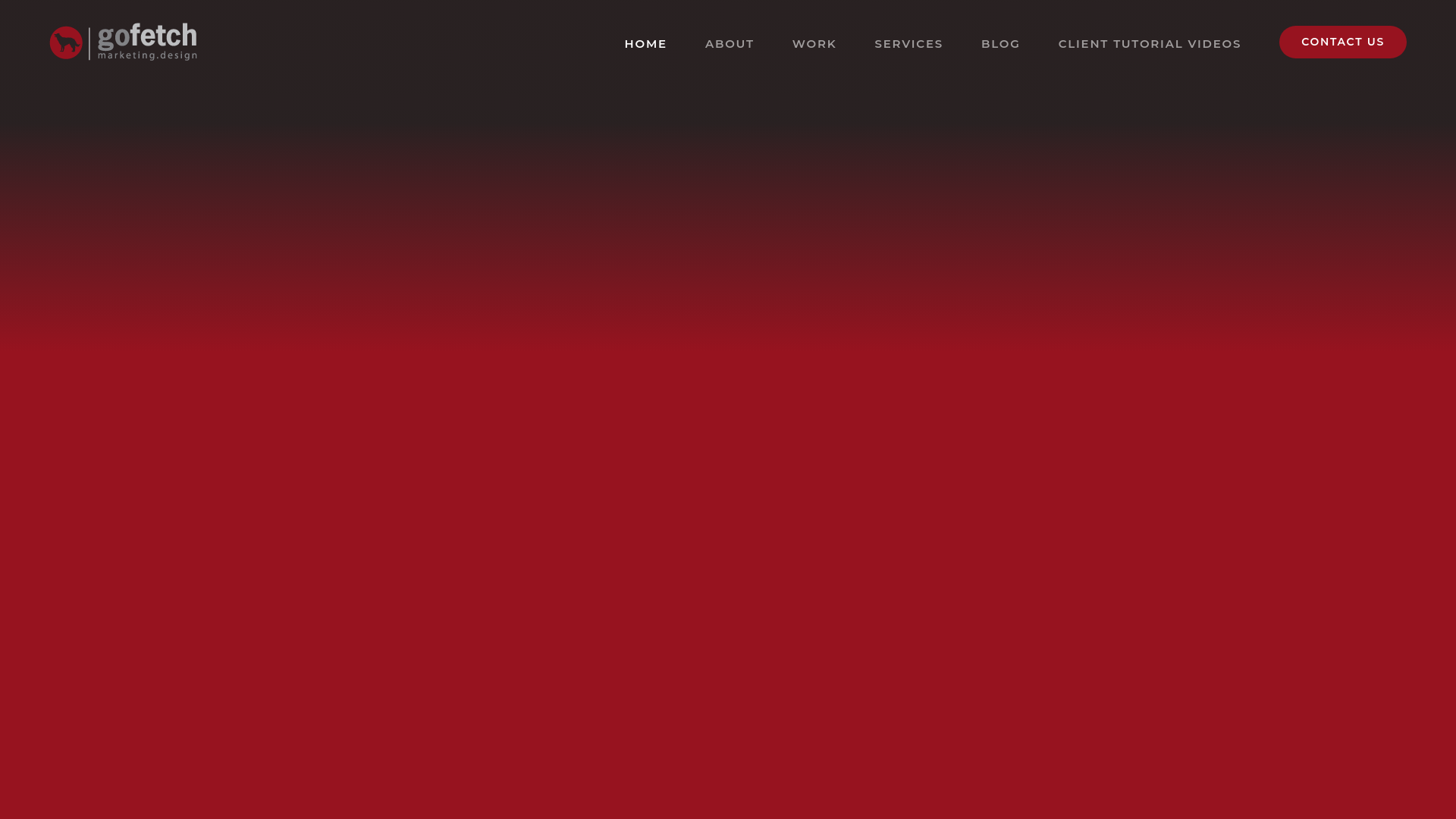 website screenshot of https://gofetchmarketing.com/