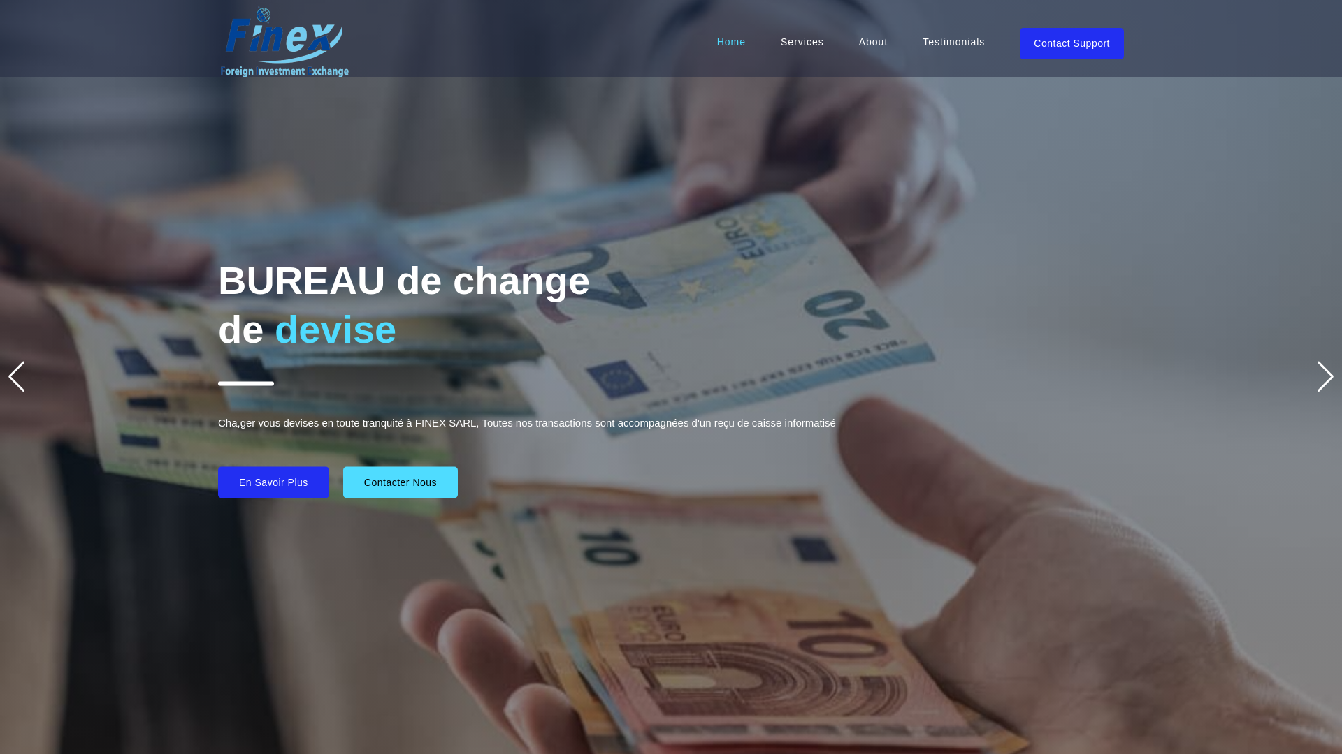 website screenshot of https://finexsarl.com/