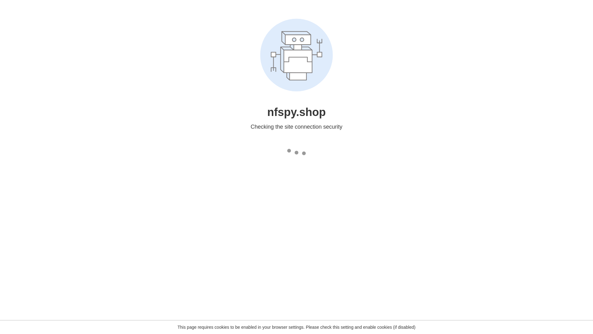 website screenshot of https://nfspy.shop