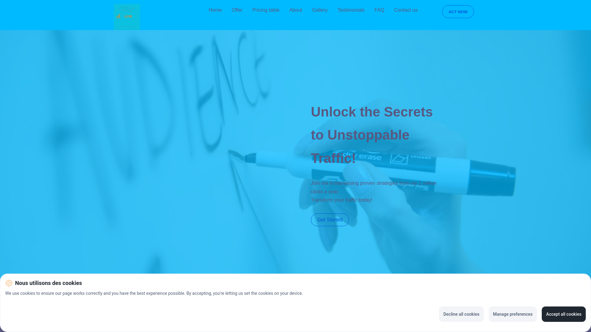 website screenshot of https://trafficauthoritymentor.com