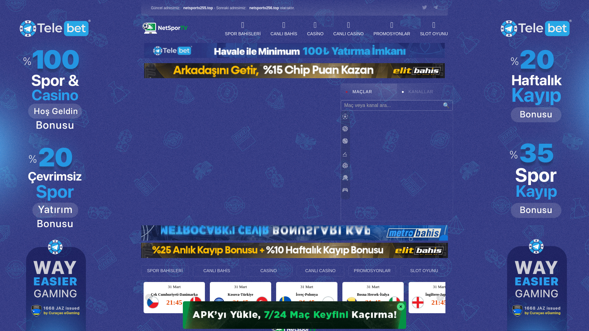 website screenshot of https://netsportv254.top