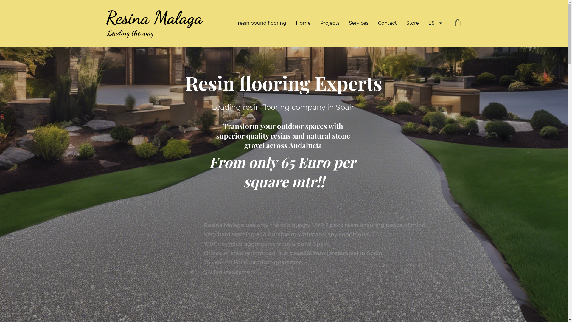 website screenshot of https://resin-spain.es/