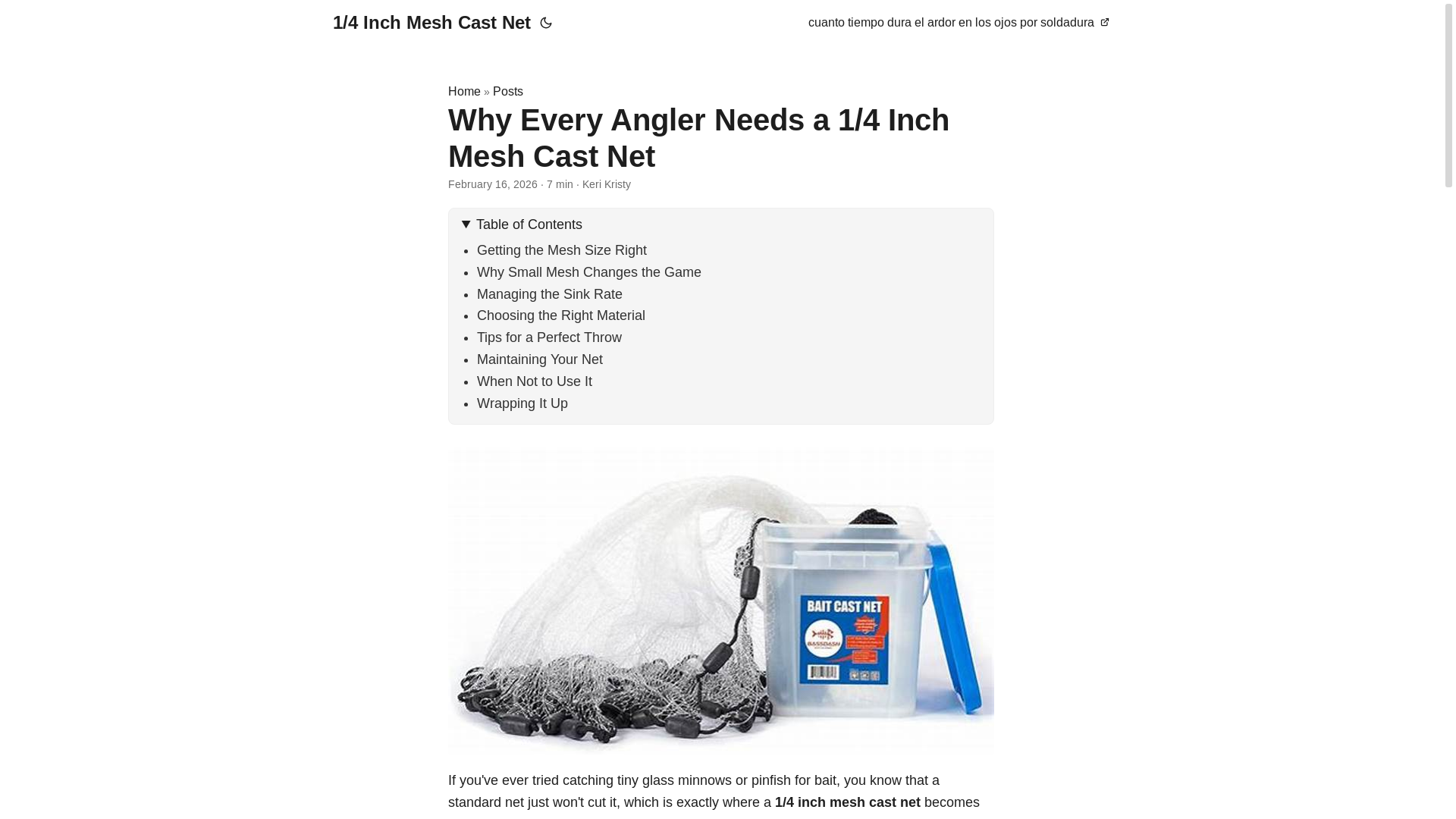 website screenshot of https://14-inch-mesh-cast-net.pages.dev/