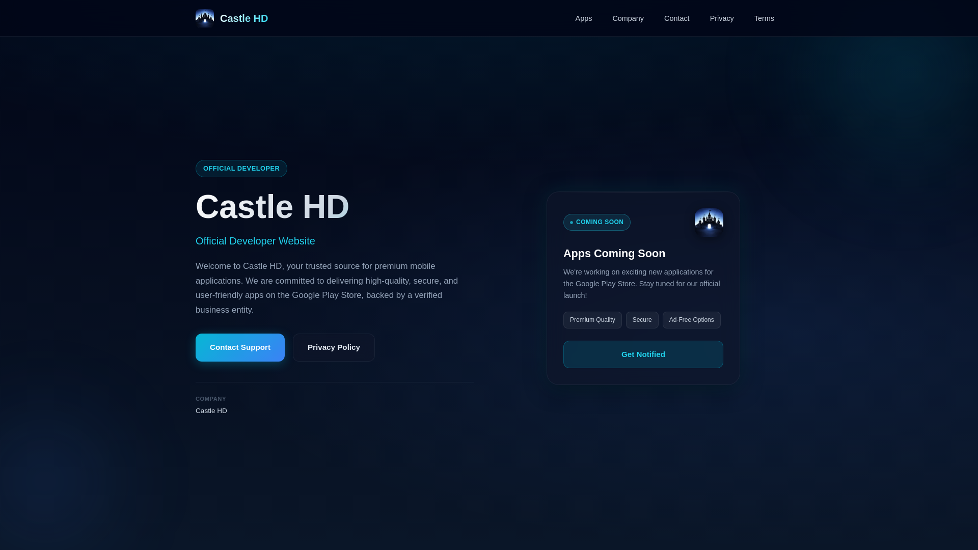 website screenshot of https://castlehdllc.website