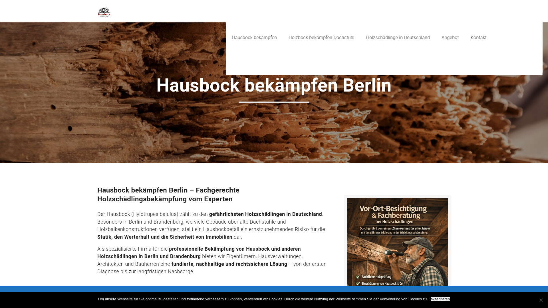 website screenshot of https://hausbock-bekaempfen-berlin.de/