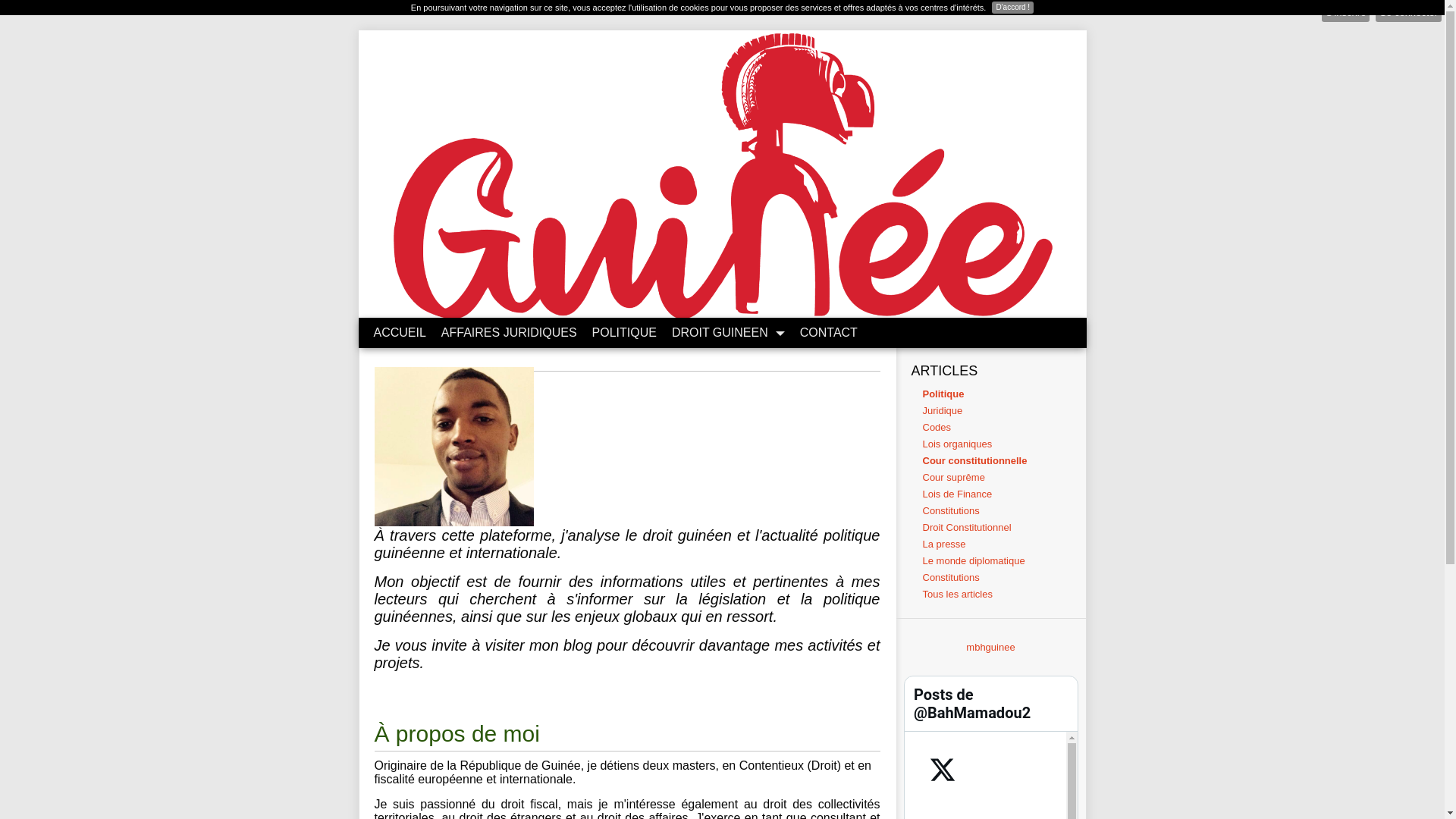 website screenshot of https://pellelbah.fr/