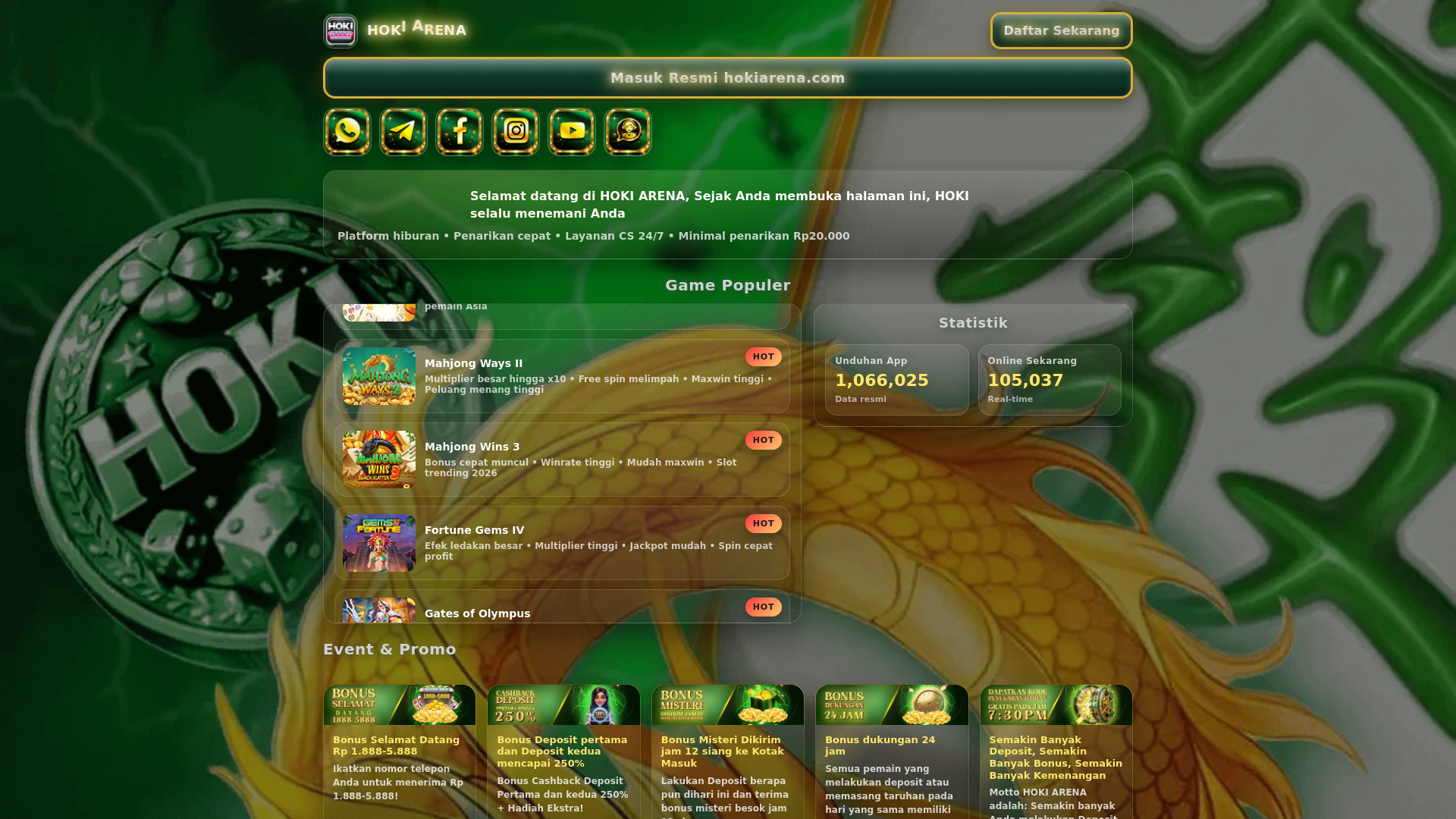 website screenshot of https://hokiarenasms155.com/