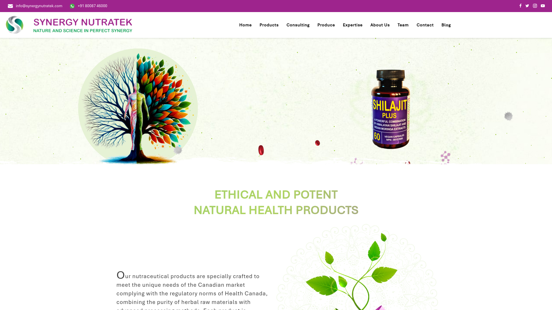 website screenshot of https://synergynutratek.in