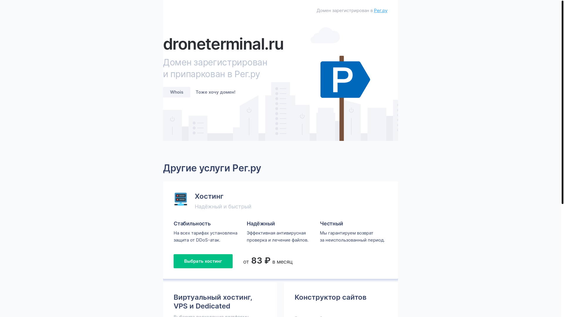 website screenshot of https://droneterminal.ru/