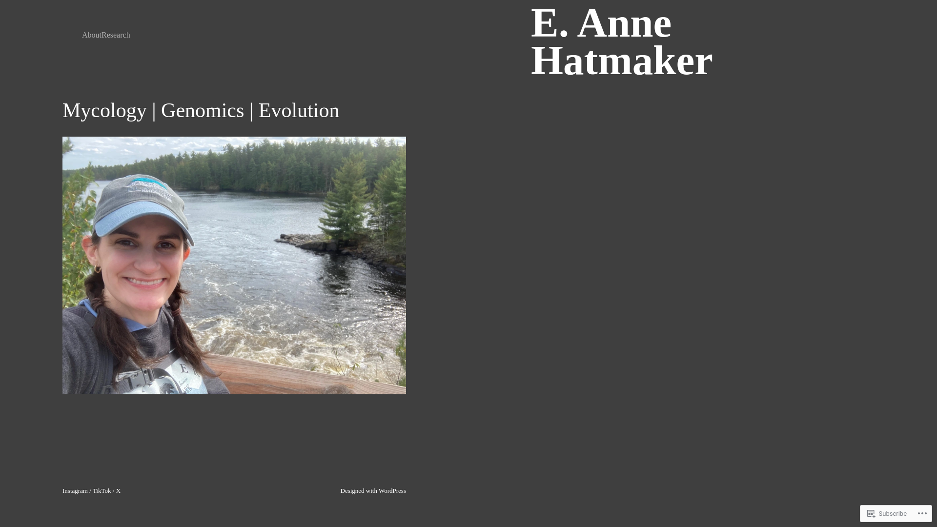 website screenshot of https://annehatmaker.com/