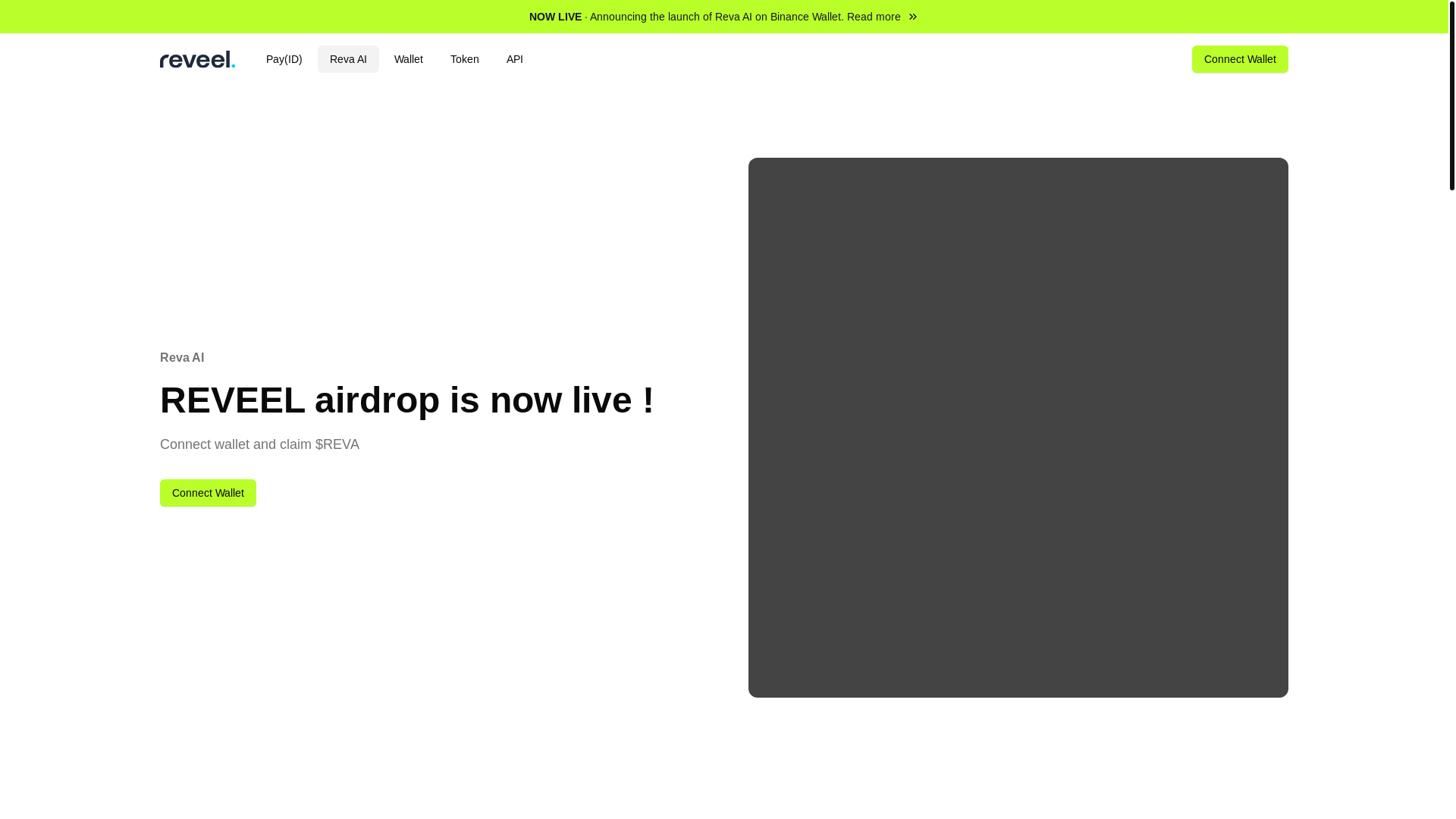 website screenshot of https://revapay.org/