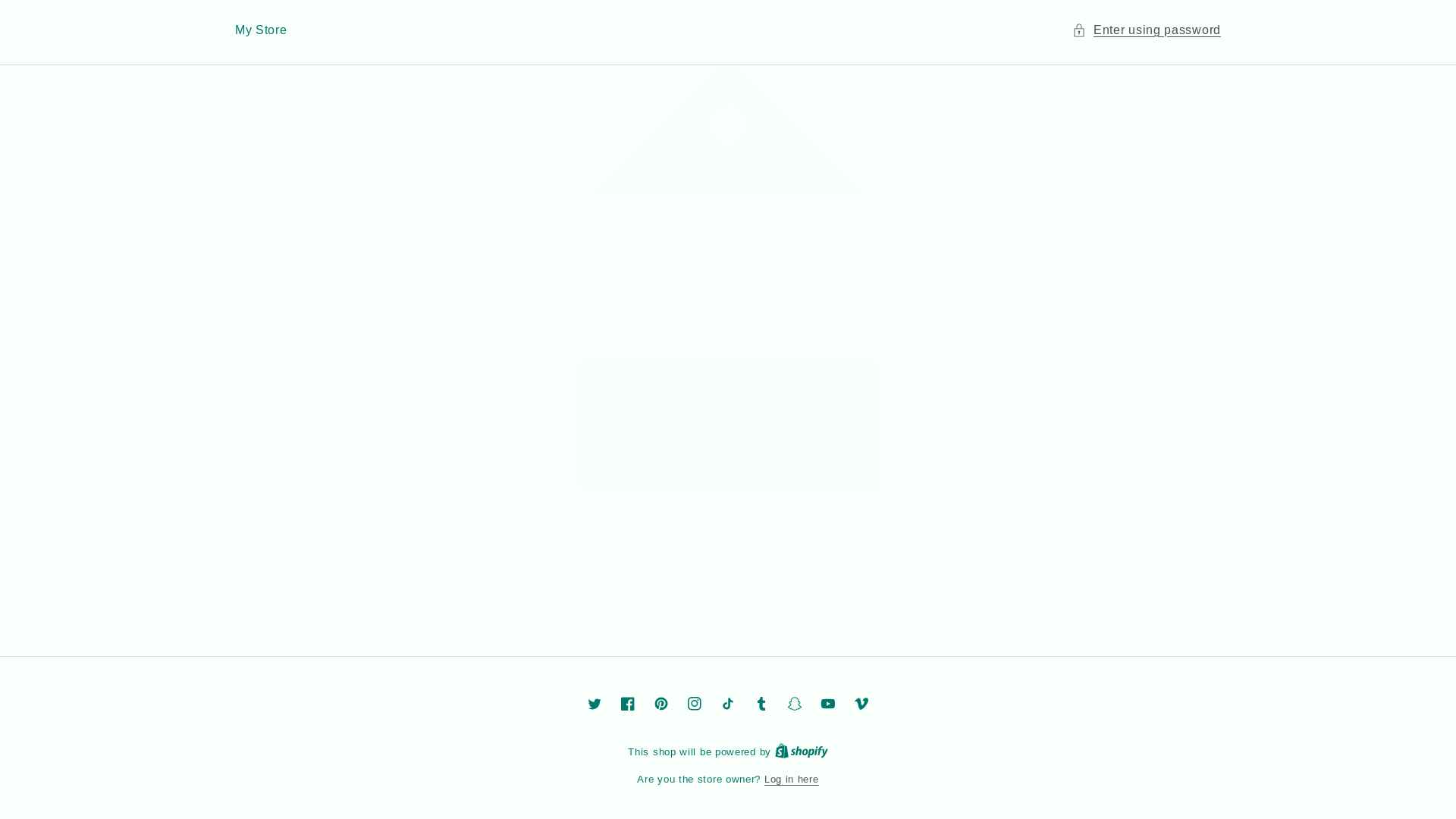 website screenshot of https://shiatsurelief.store/