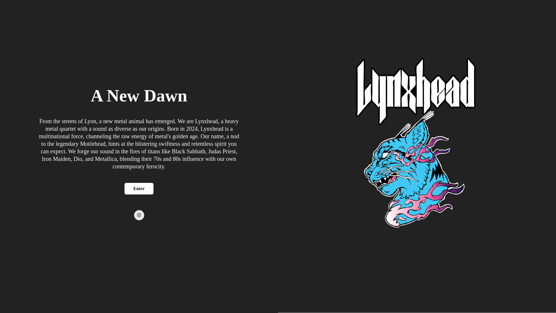 website screenshot of https://lynxhead.band/