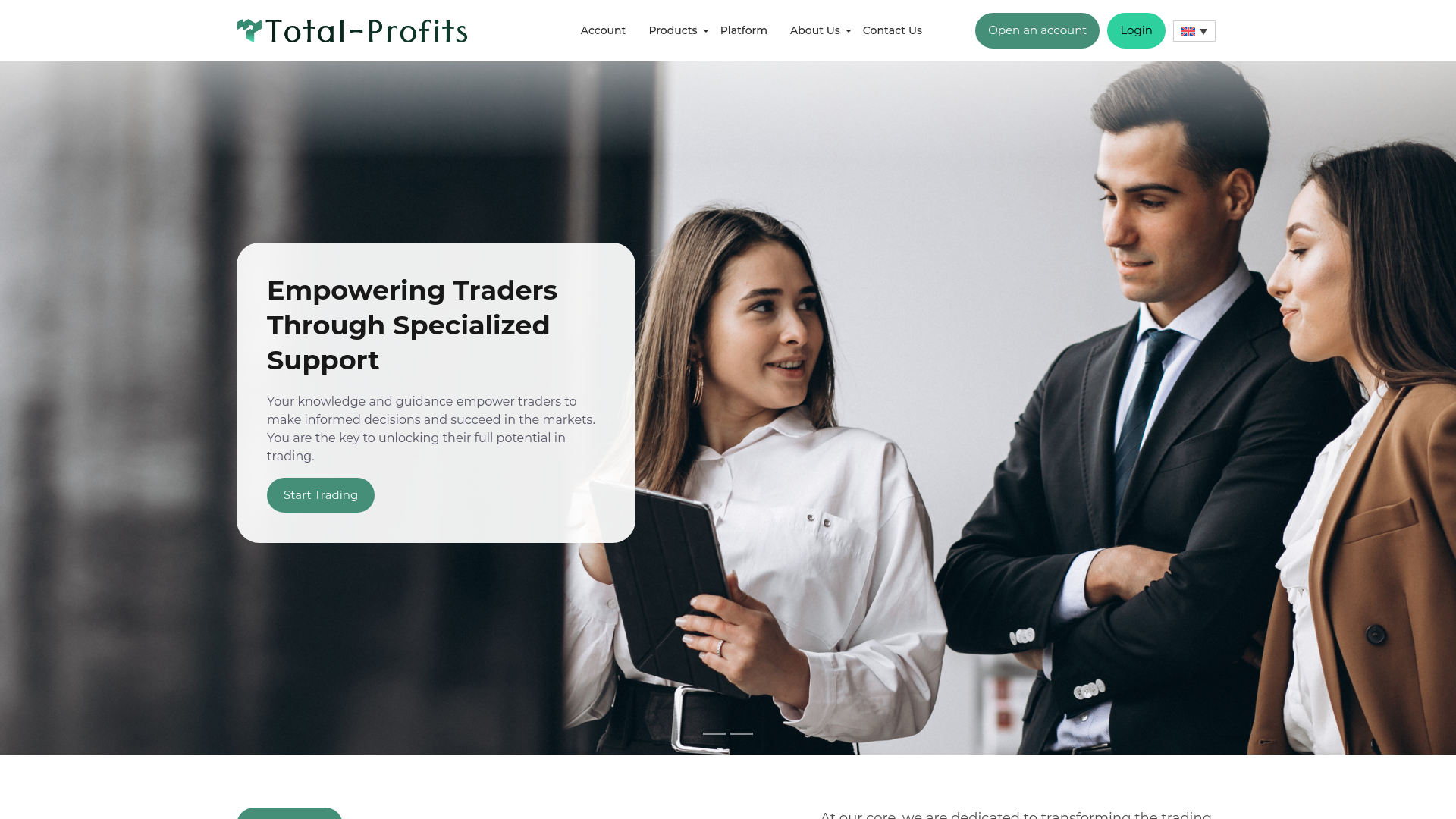 website screenshot of http://total-profits.com