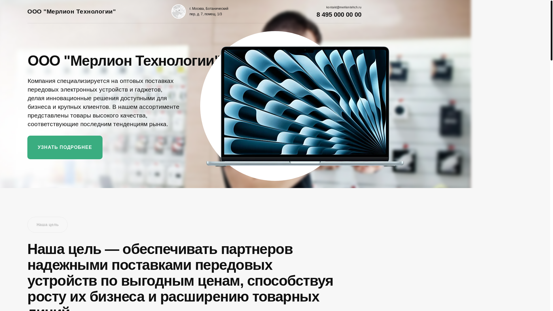 website screenshot of https://merliontehch.ru/