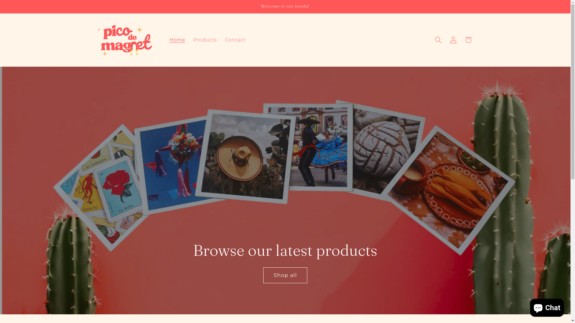 website screenshot of https://picodemagnet.com/