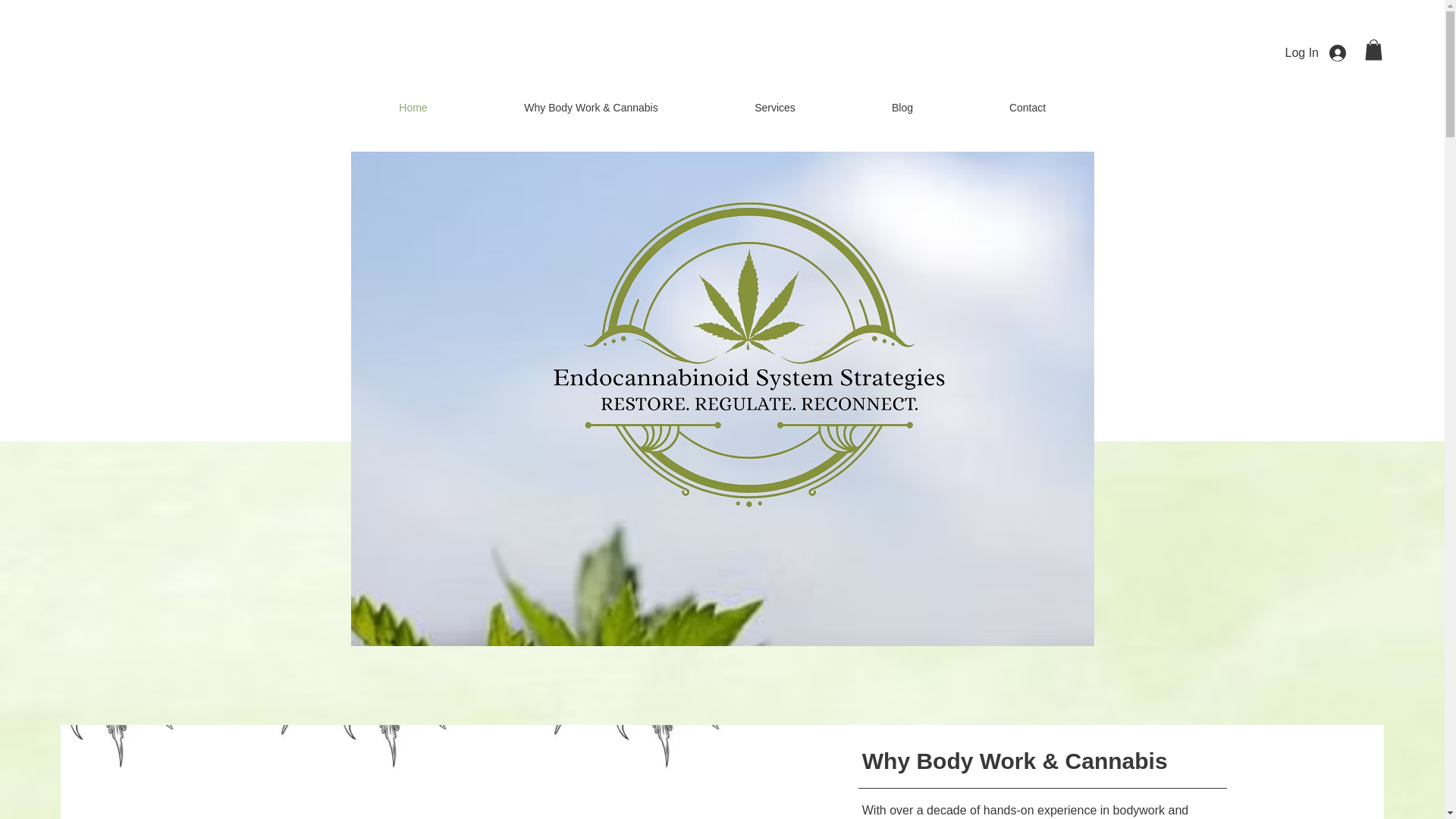 website screenshot of https://ecsstrategies.org/