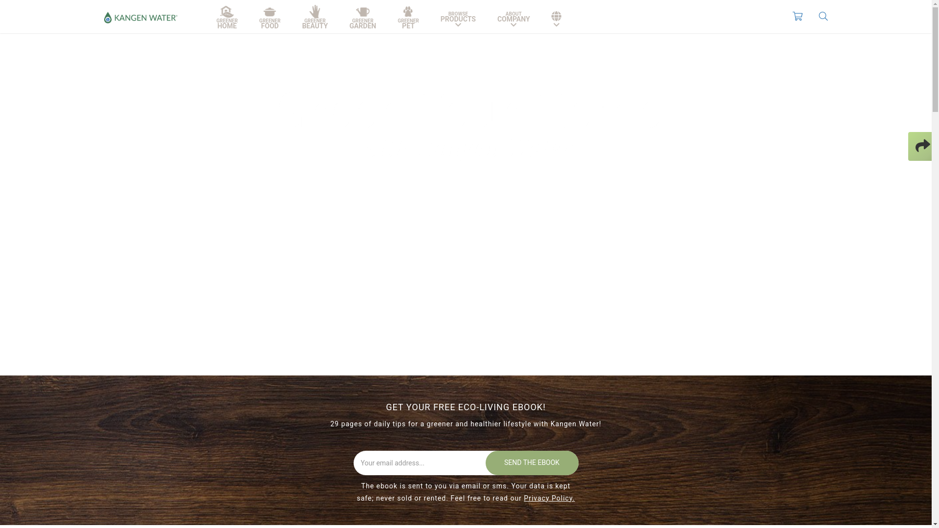 website screenshot of https://xn--zellverjngt-0hb.de/