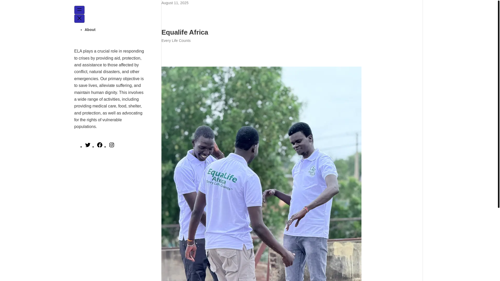 website screenshot of https://equalifeafrica.org/