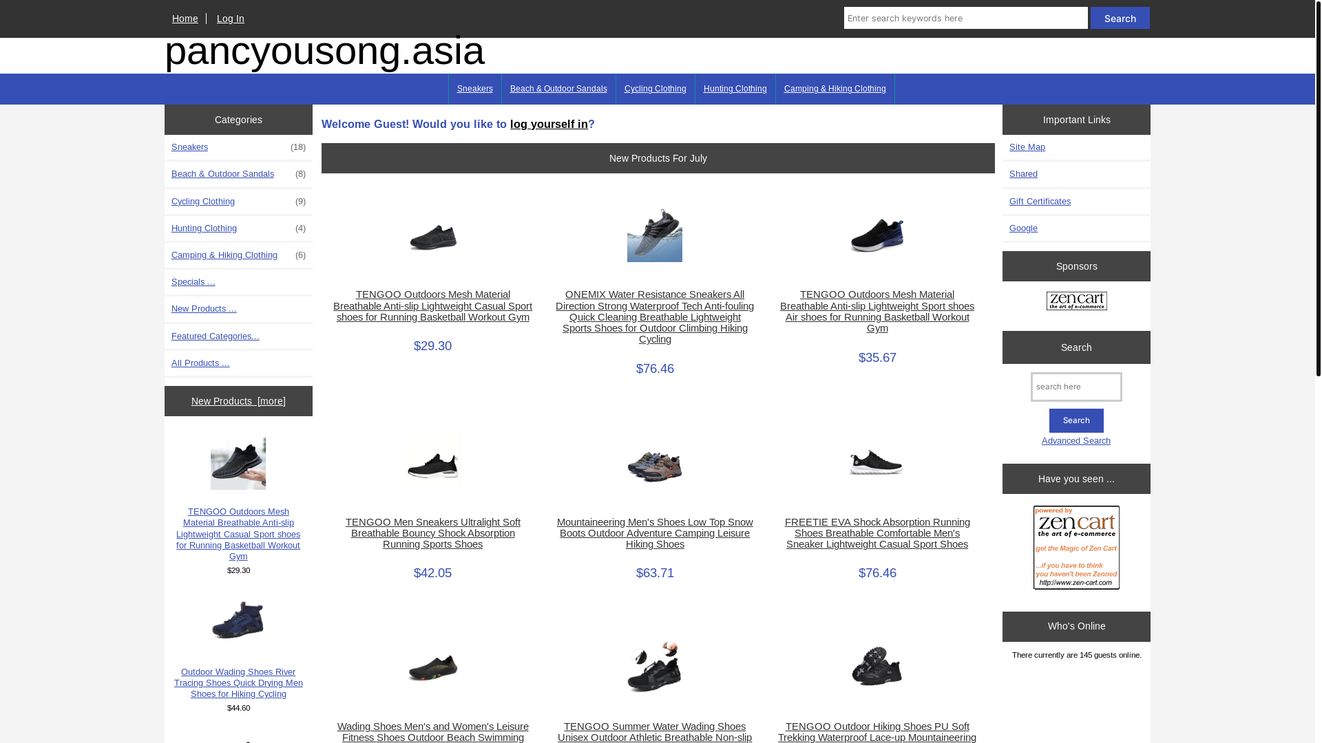 website screenshot of https://pancyousong.asia/