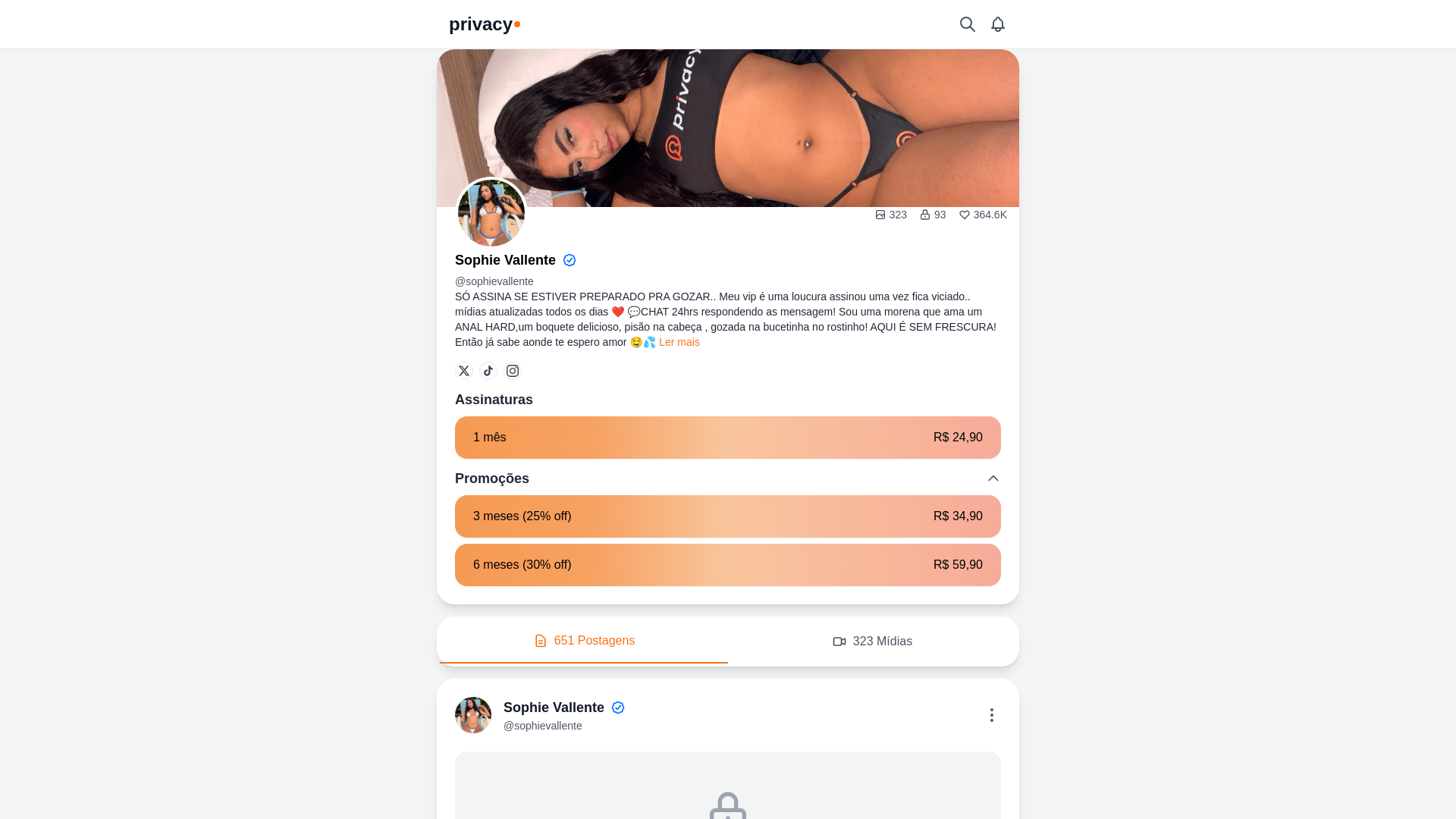 website screenshot of https://privacysophievallente.online/