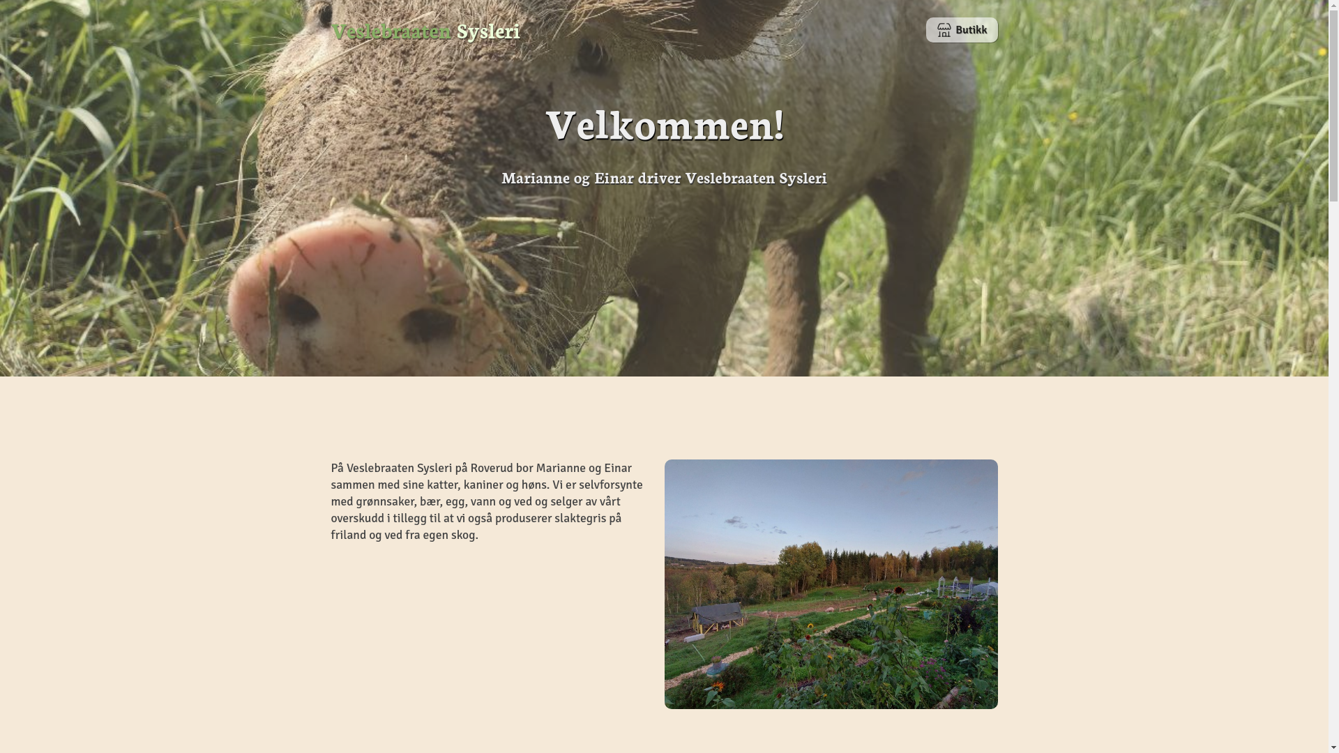 website screenshot of https://veslebraaten.pages.dev/