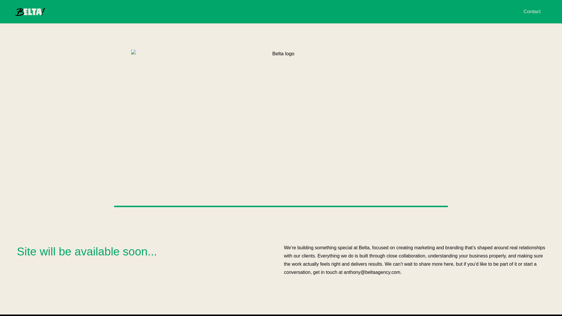 website screenshot of https://beltaagency.com/