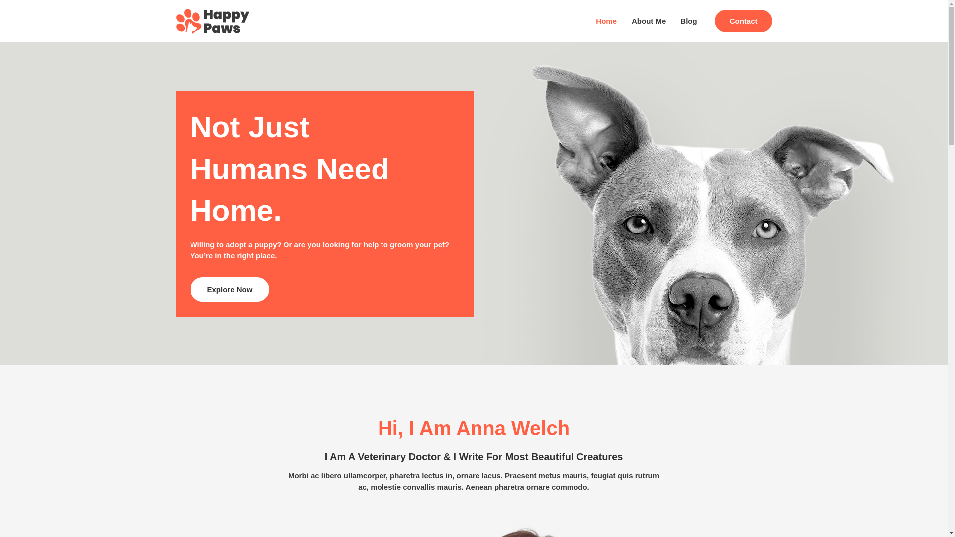 website screenshot of https://promocoesamigopet.com.br/