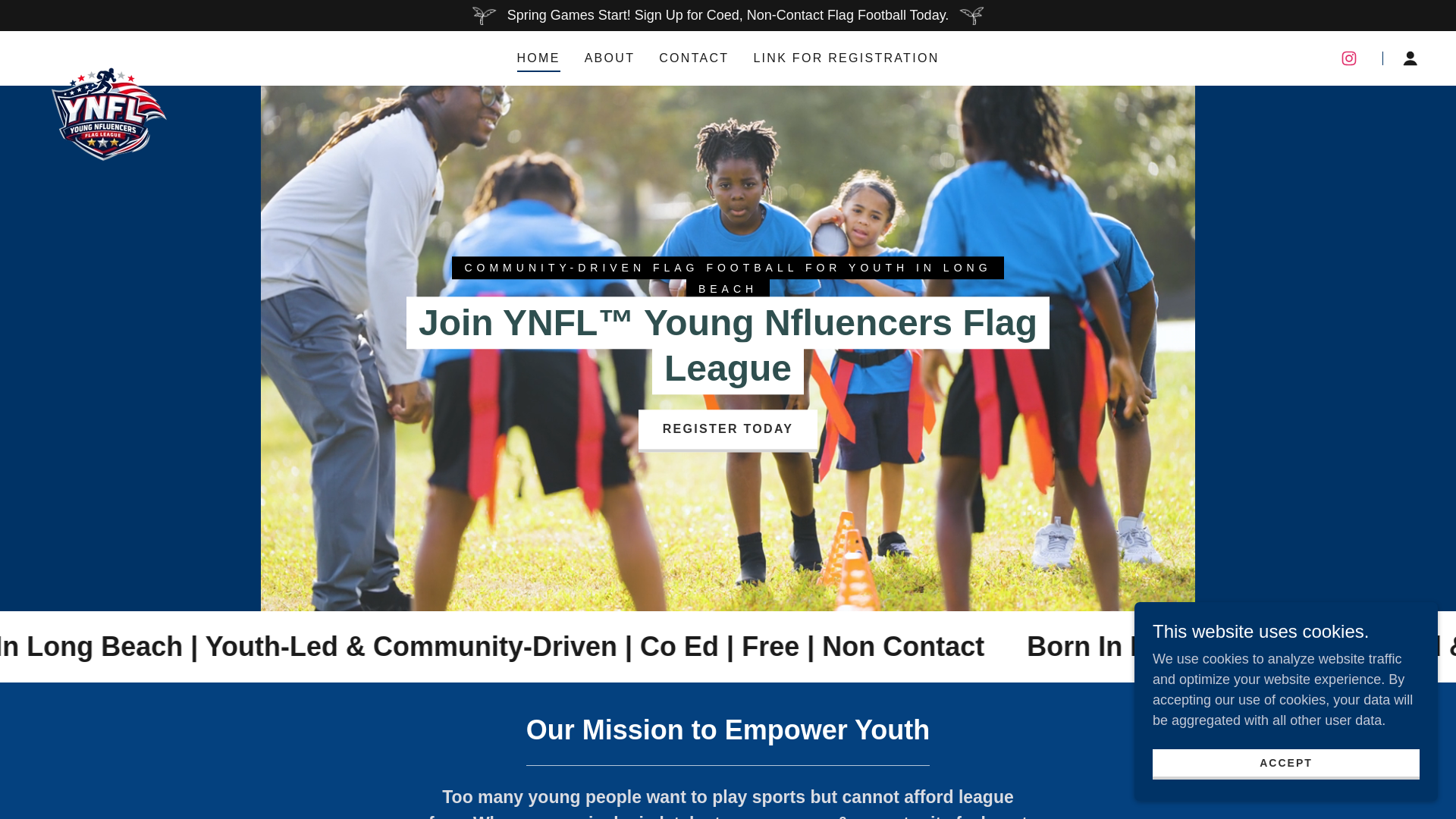 website screenshot of https://ynflflag.com/