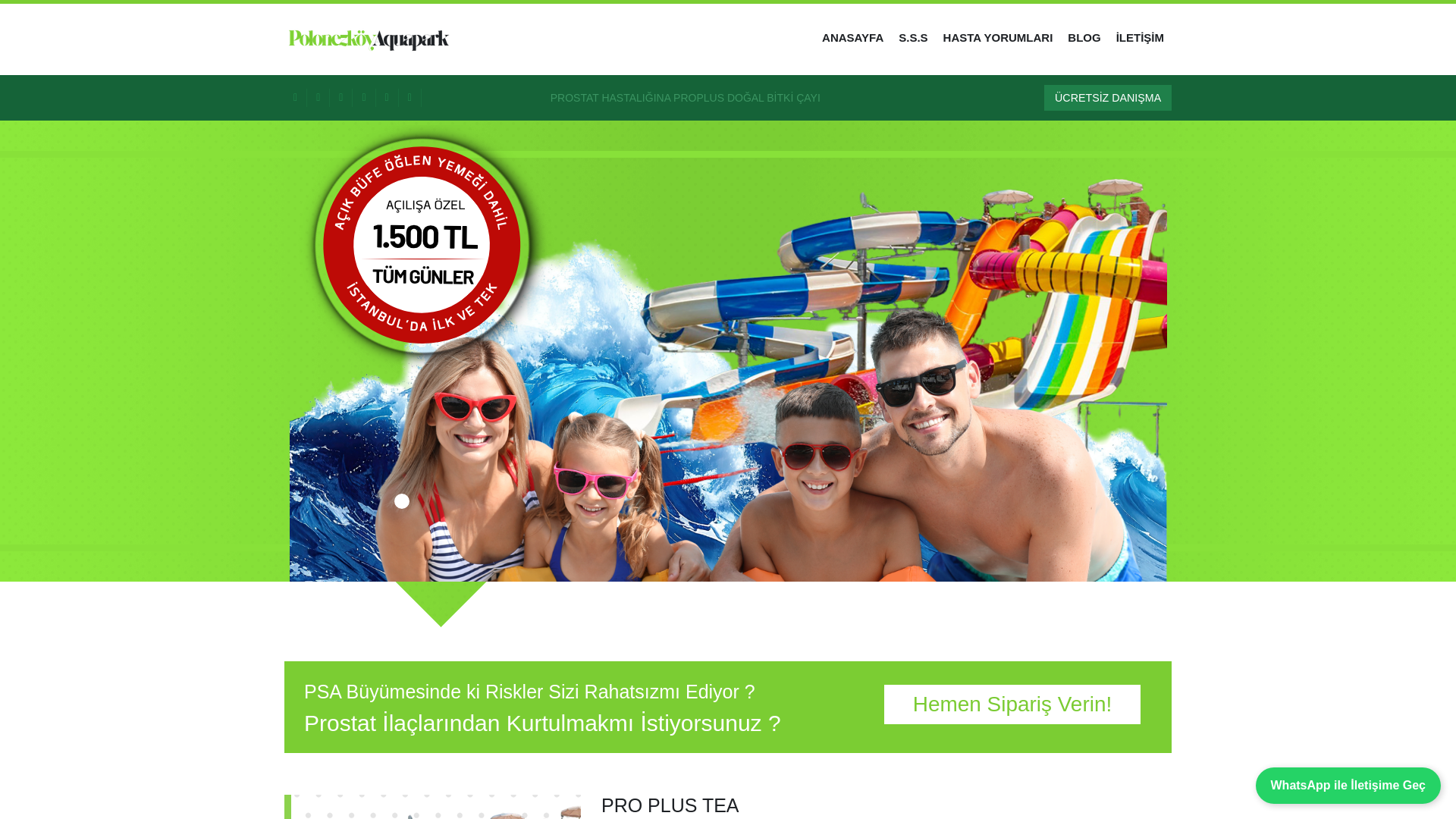 website screenshot of https://polonezkoyaquapark.com/