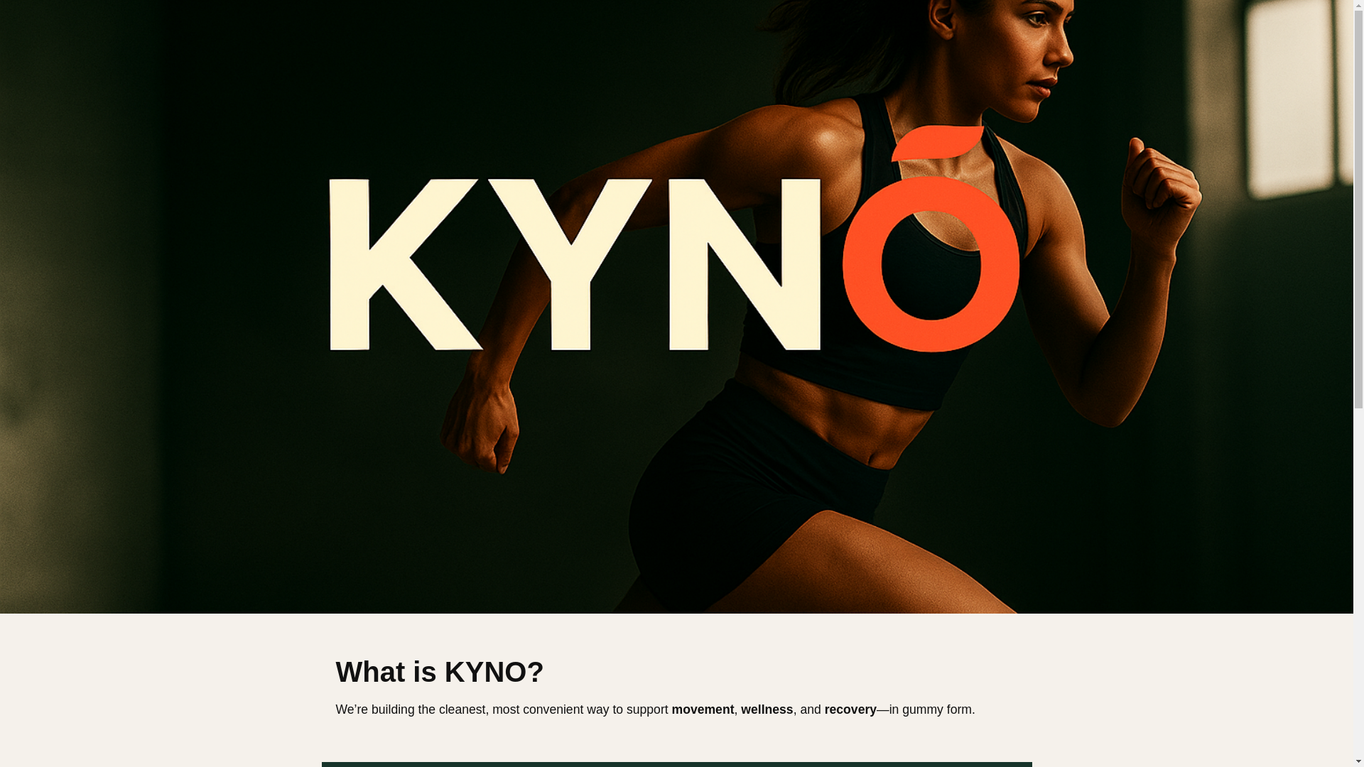 website screenshot of https://kynolandingpage.pages.dev/