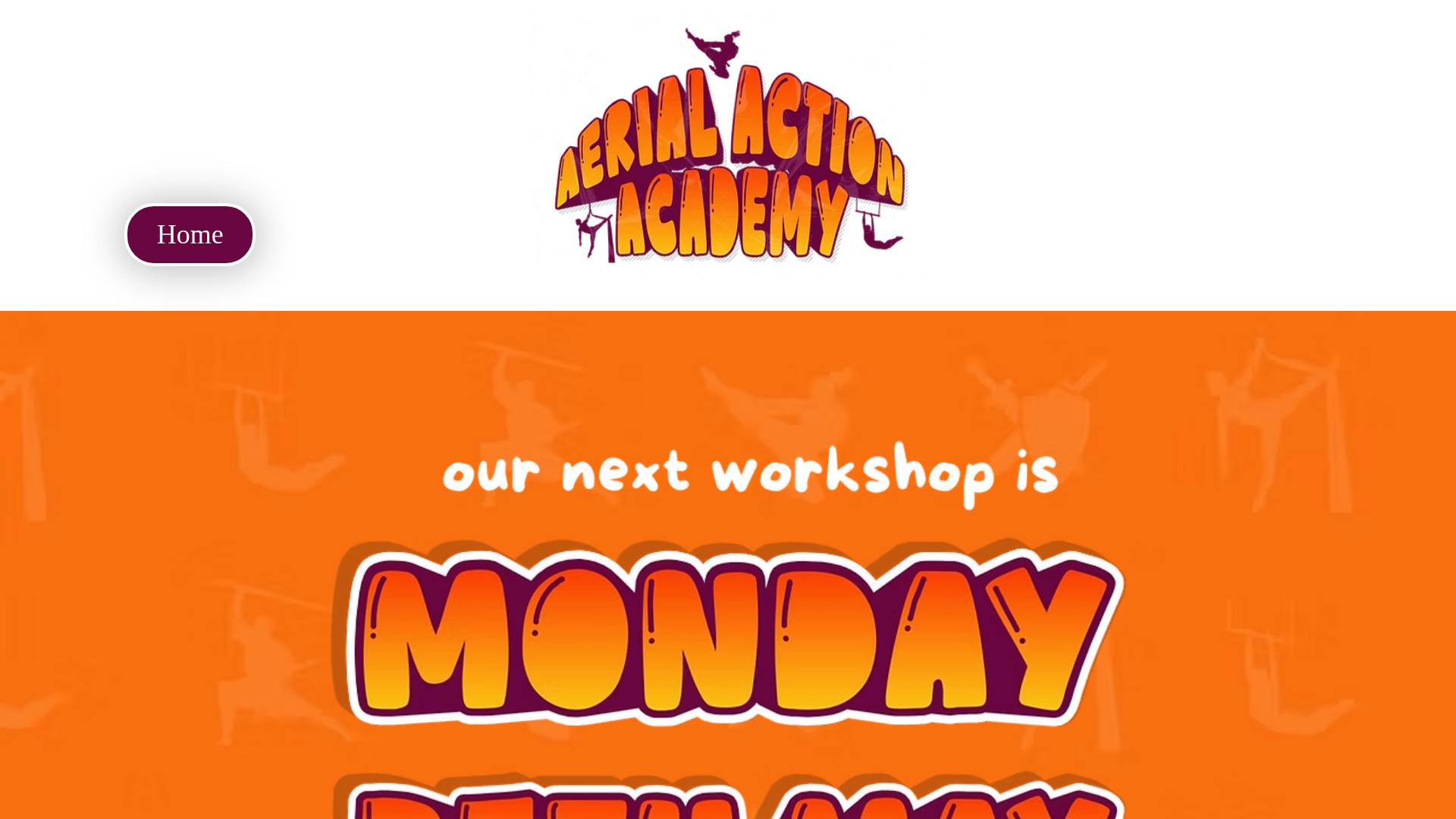 website screenshot of https://aerialactionacademy.co.uk/