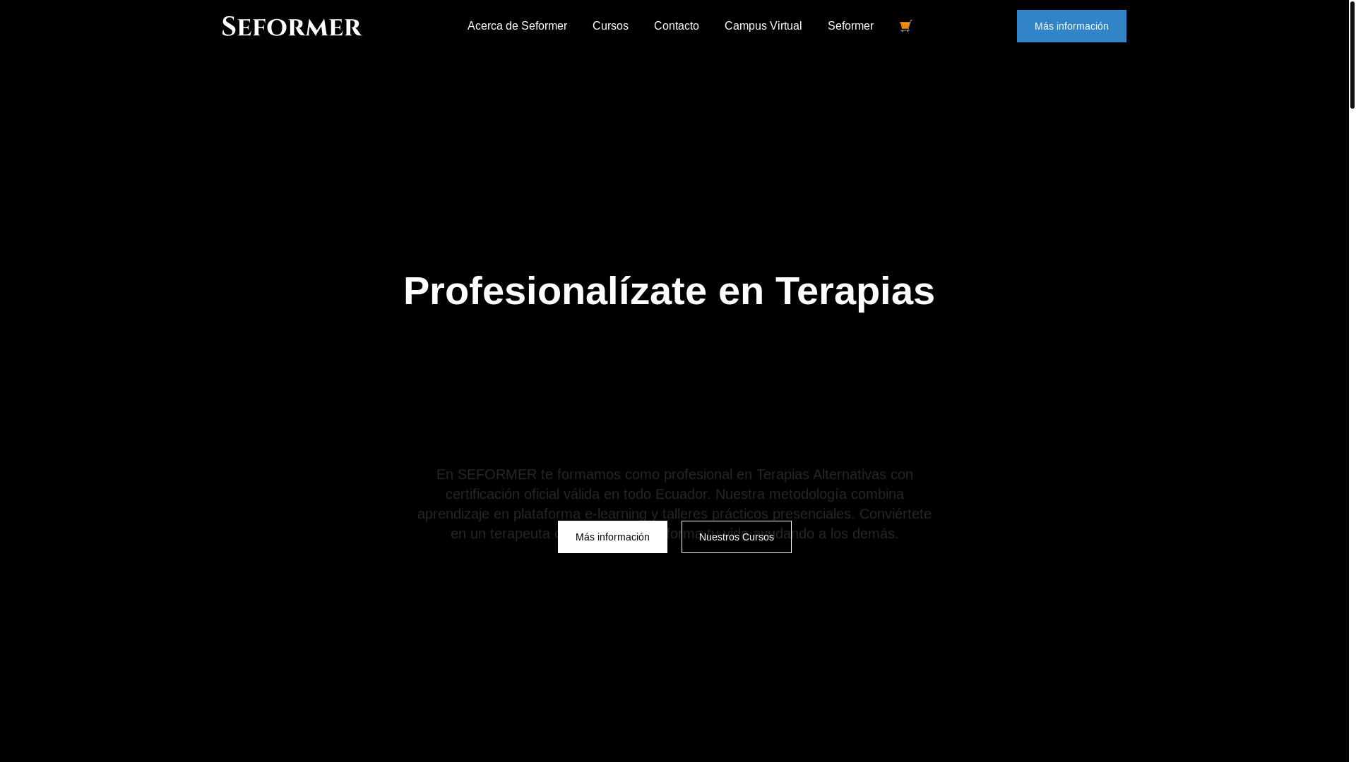 website screenshot of https://ecseformer.com/