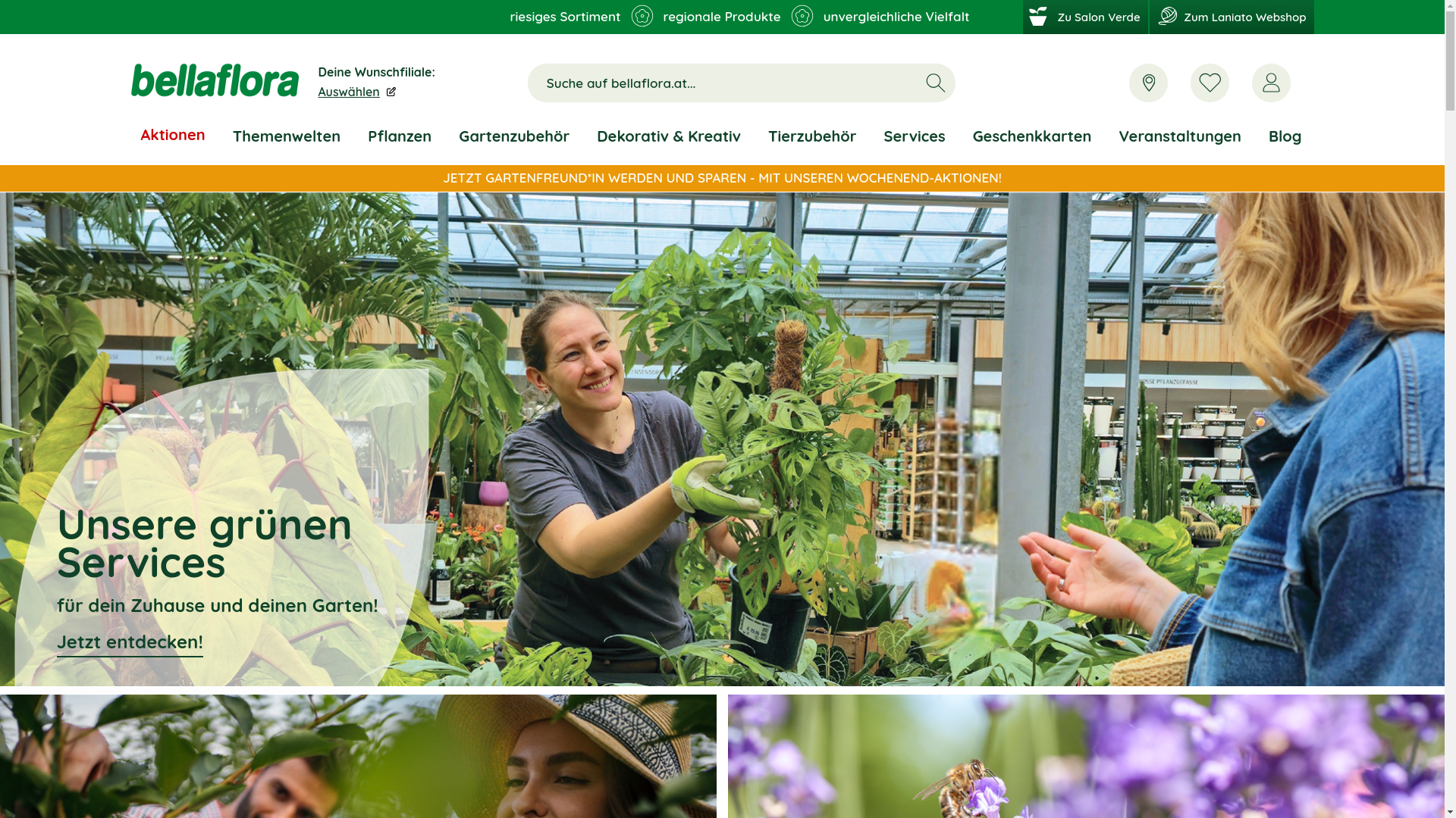 website screenshot of https://gruenenummereins.at/