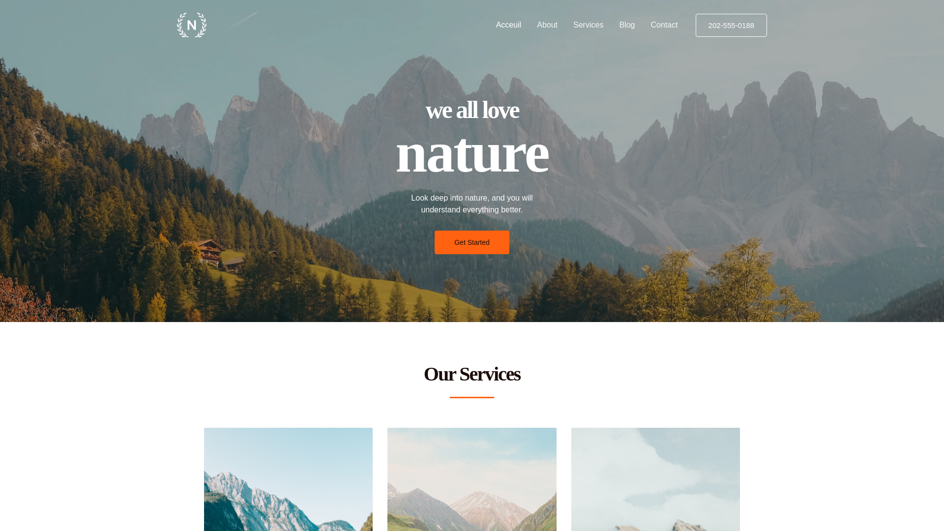 website screenshot of https://haltsida-rdc.org/