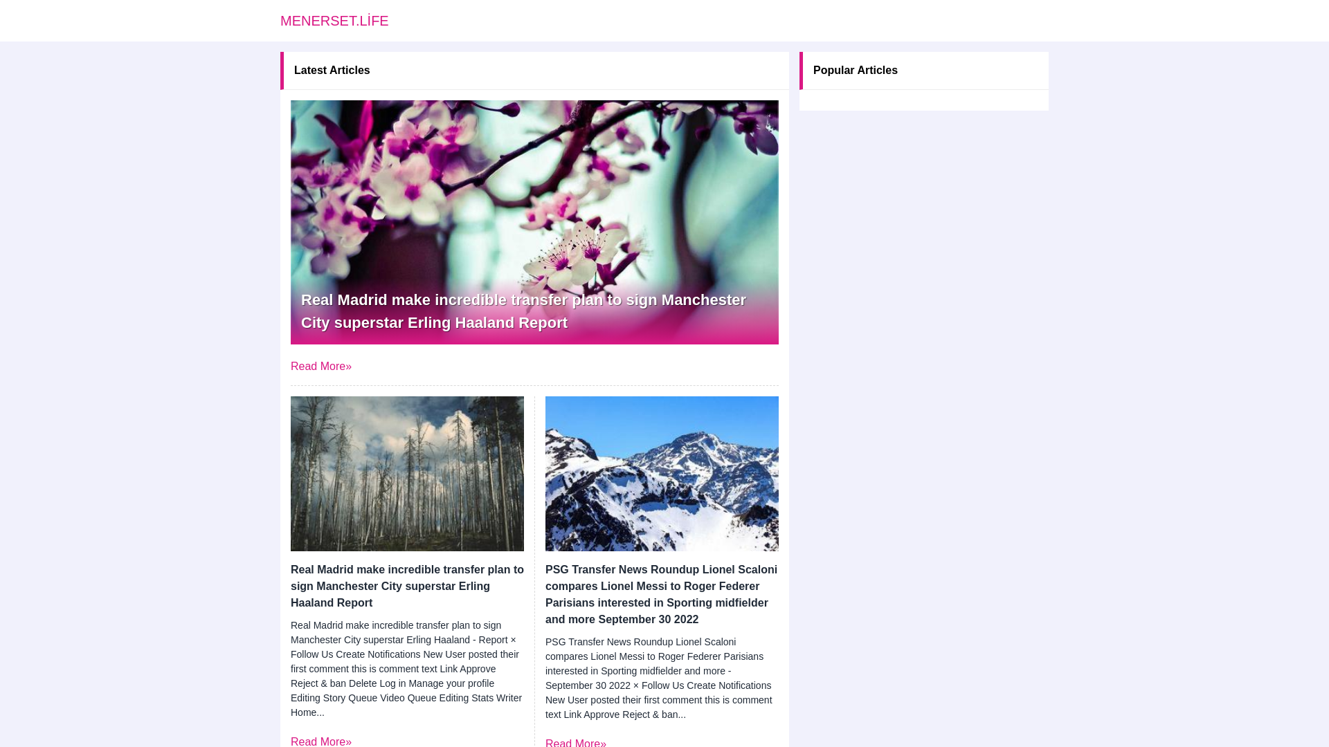 website screenshot of https://menerset.life